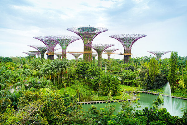 Gardens by the Bay