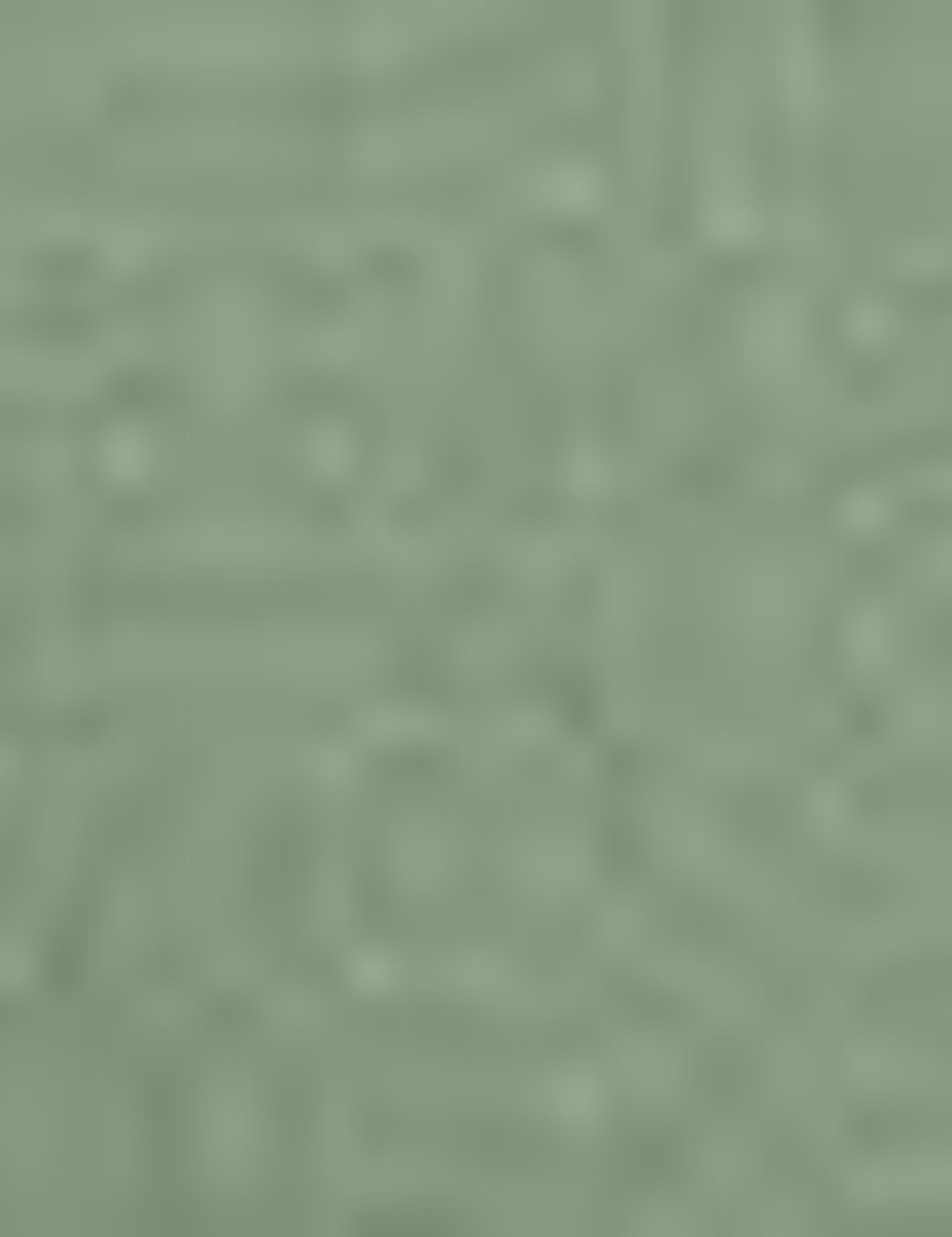 Yeşil Slim Fit Kanvas Pantolon