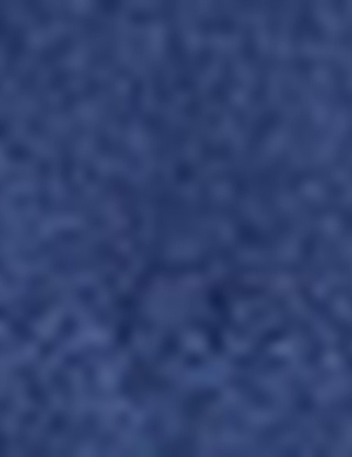 Lacivert Yelek - 50151009004