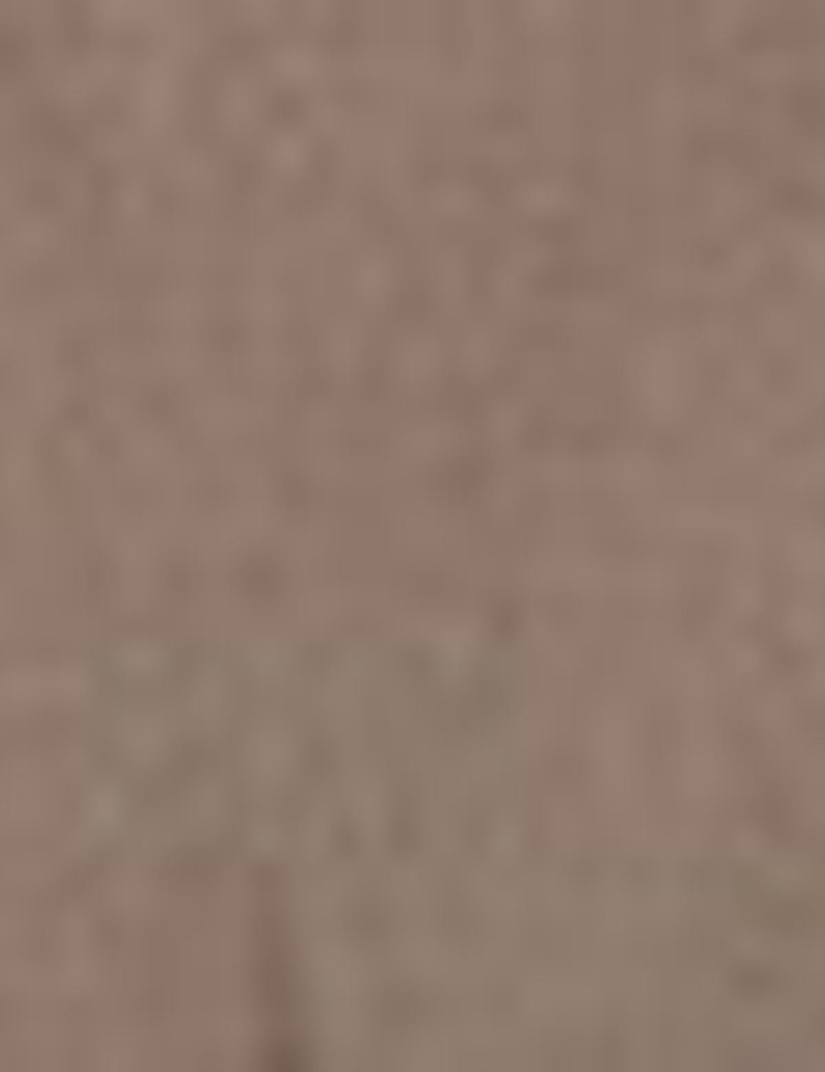 Vizon Yelek - 50151010006