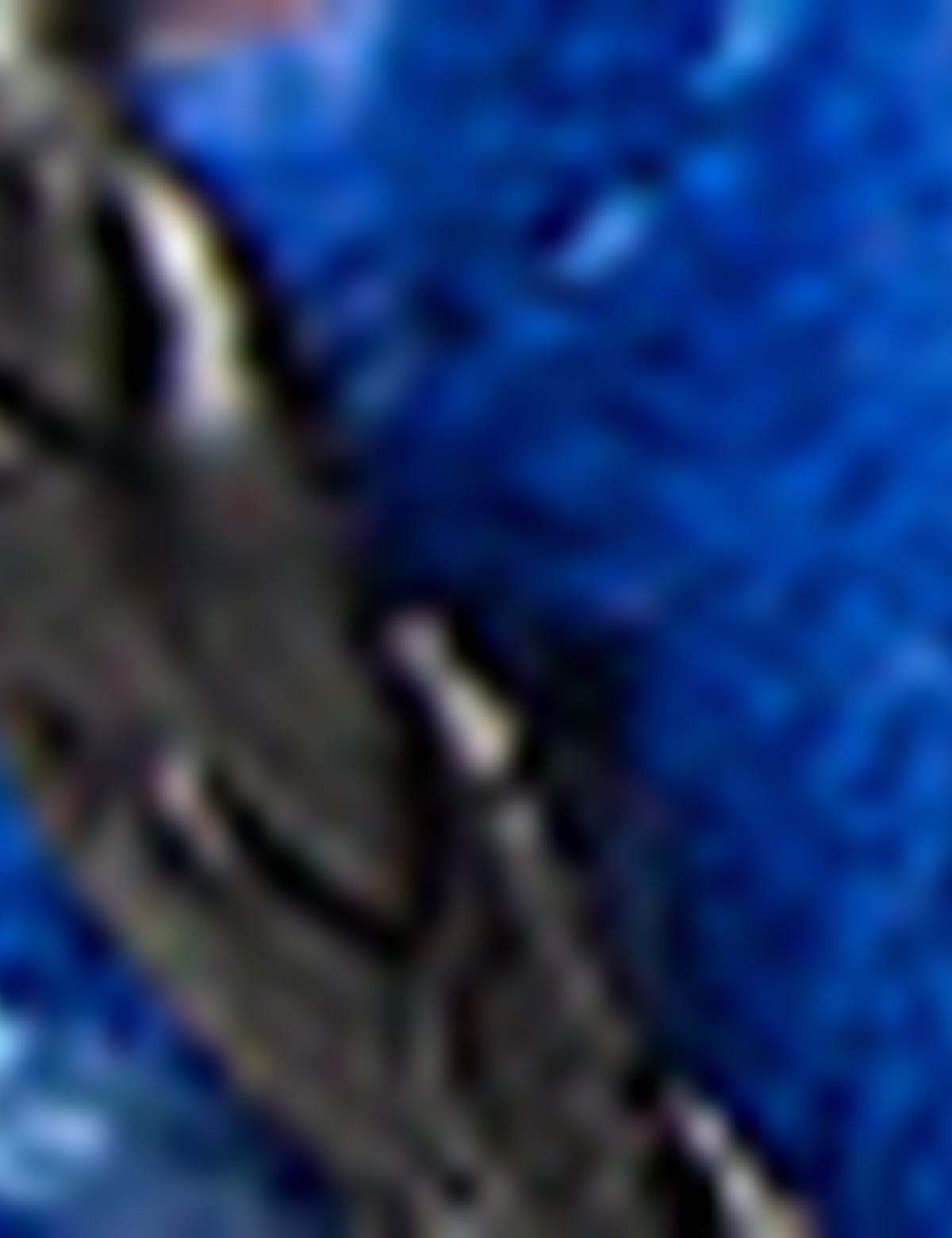 Mavi Ayakkabı - 50156516007