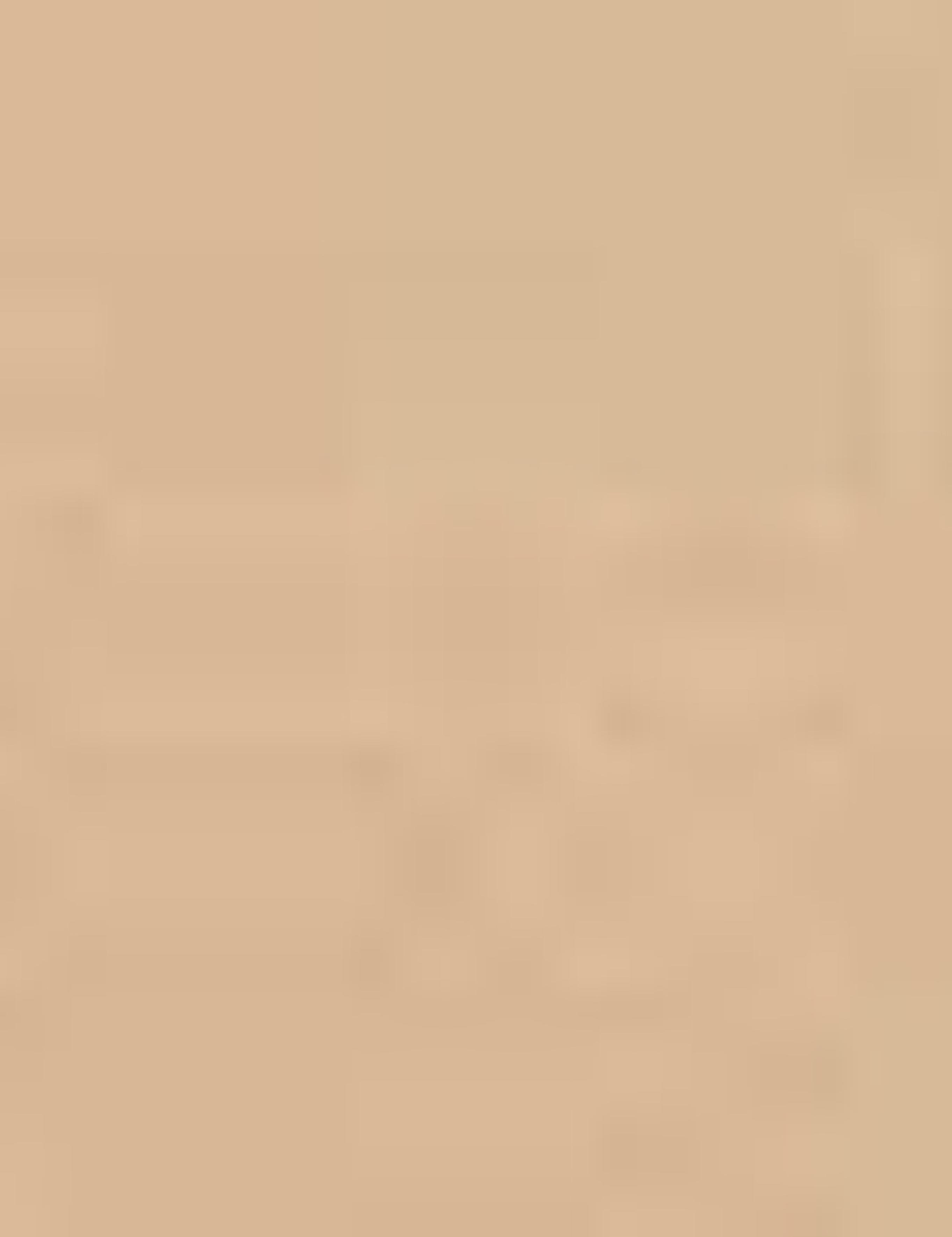 Vizon Denim Pantolon