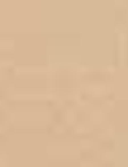 Vizon Denim Pantolon - 50167729027