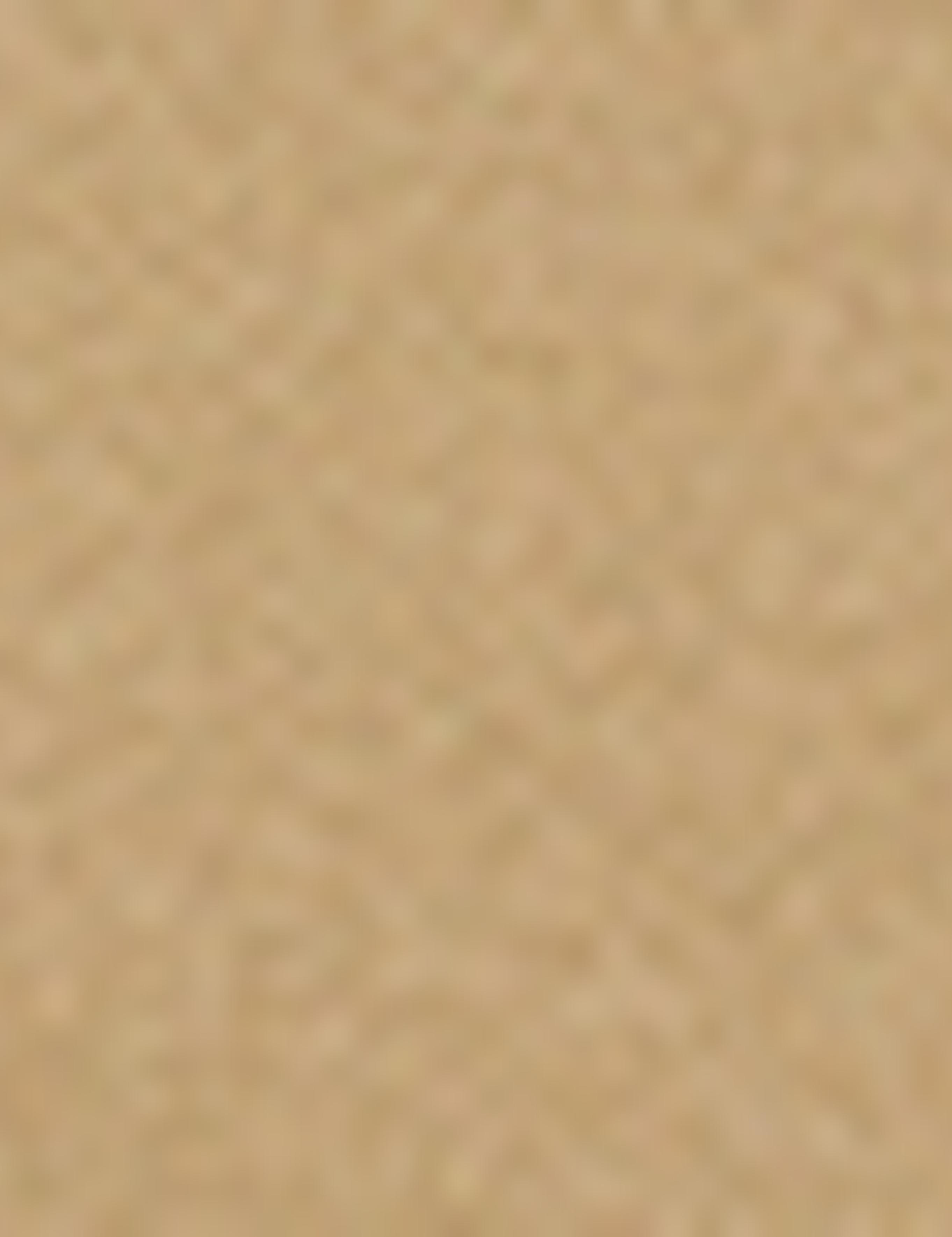 Haki Slim Fit Chino Pantolon