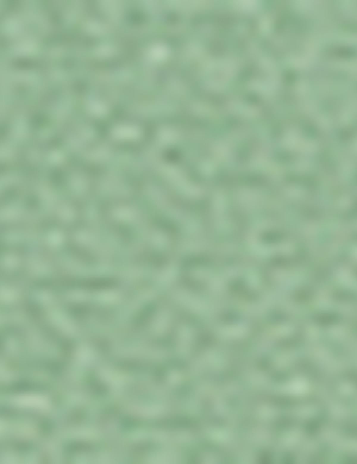 Yeşil Slim Fit Chino Pantolon - 50170542023