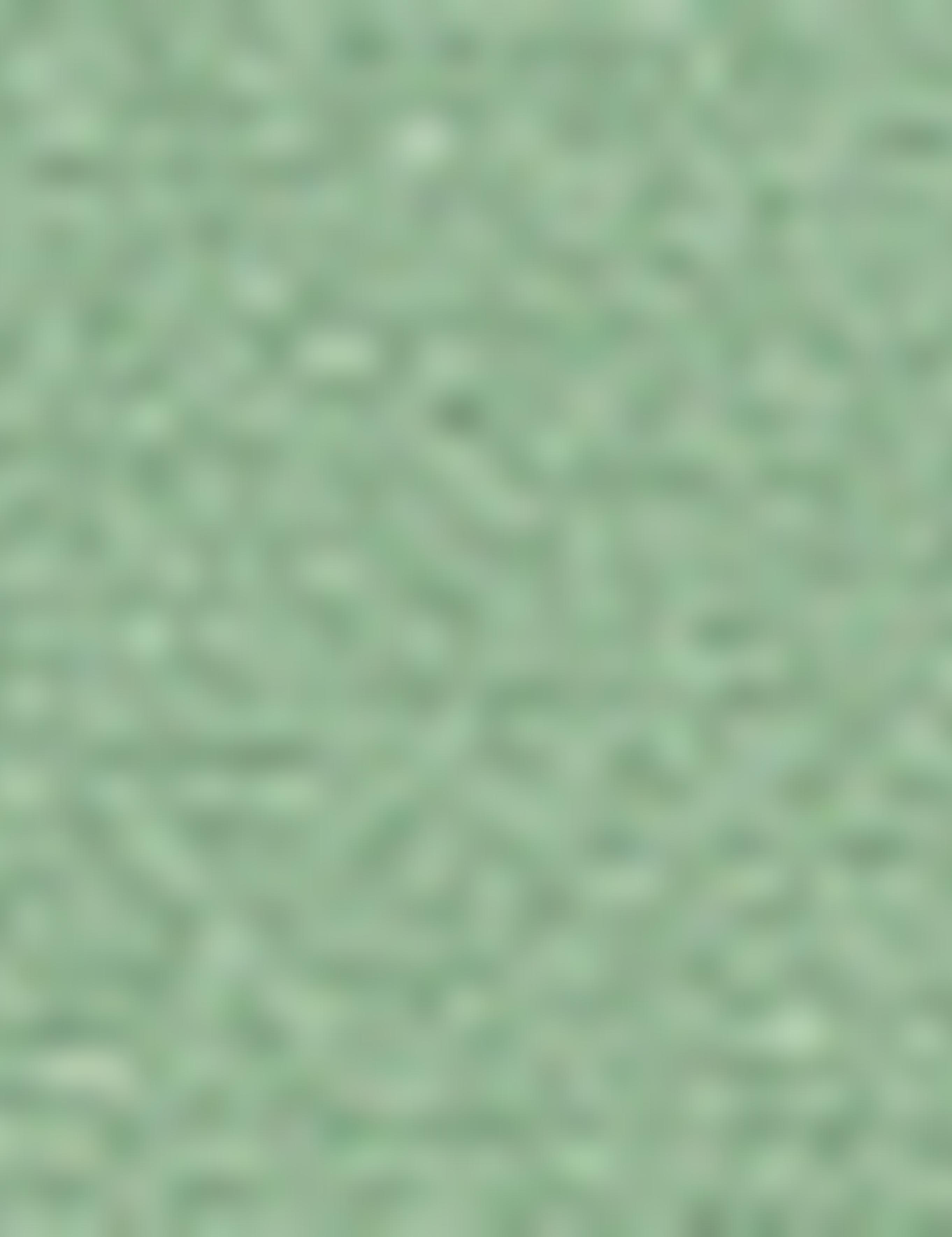 Yeşil Slim Fit Chino Pantolon