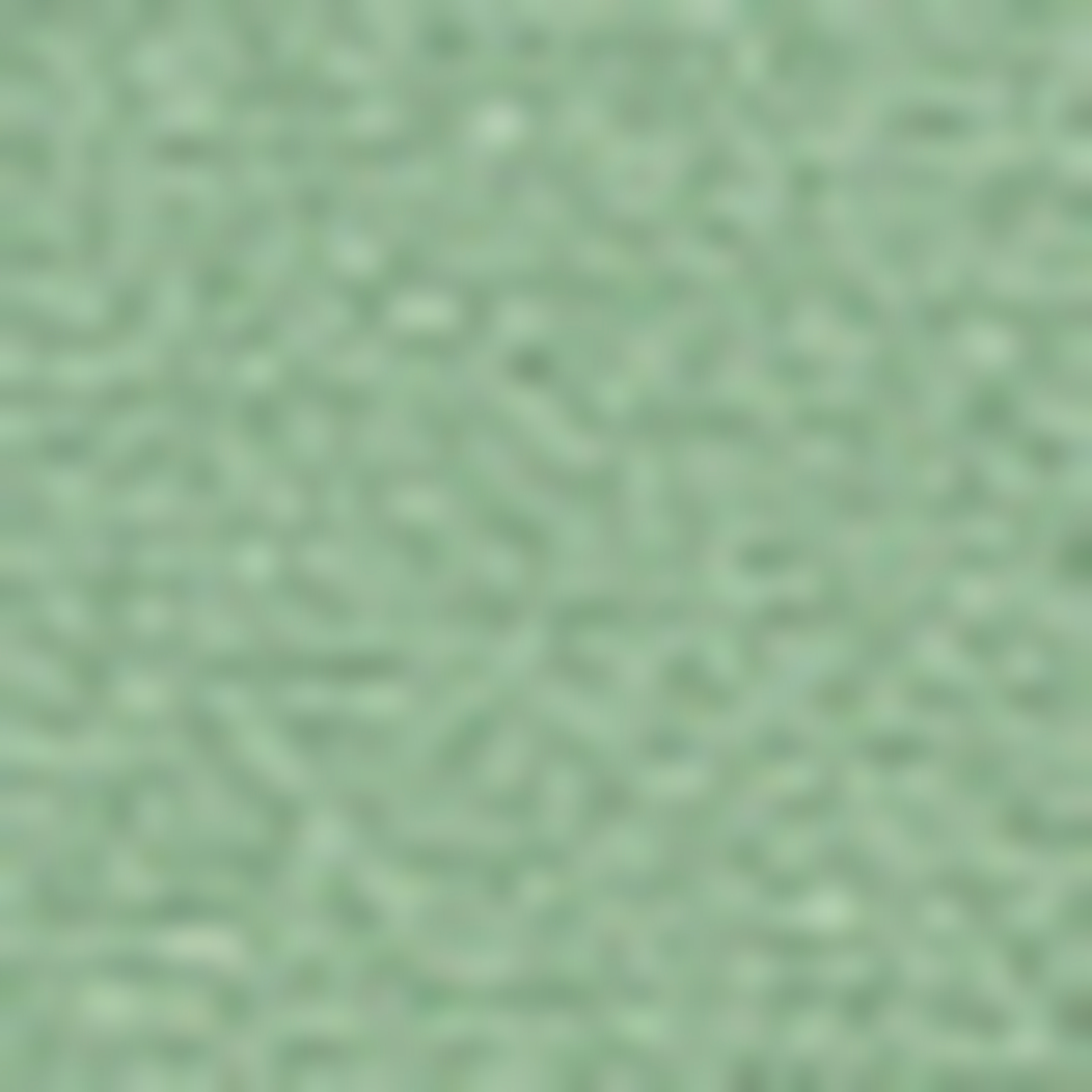 Yeşil Slim Fit Chino Pantolon - Image 6