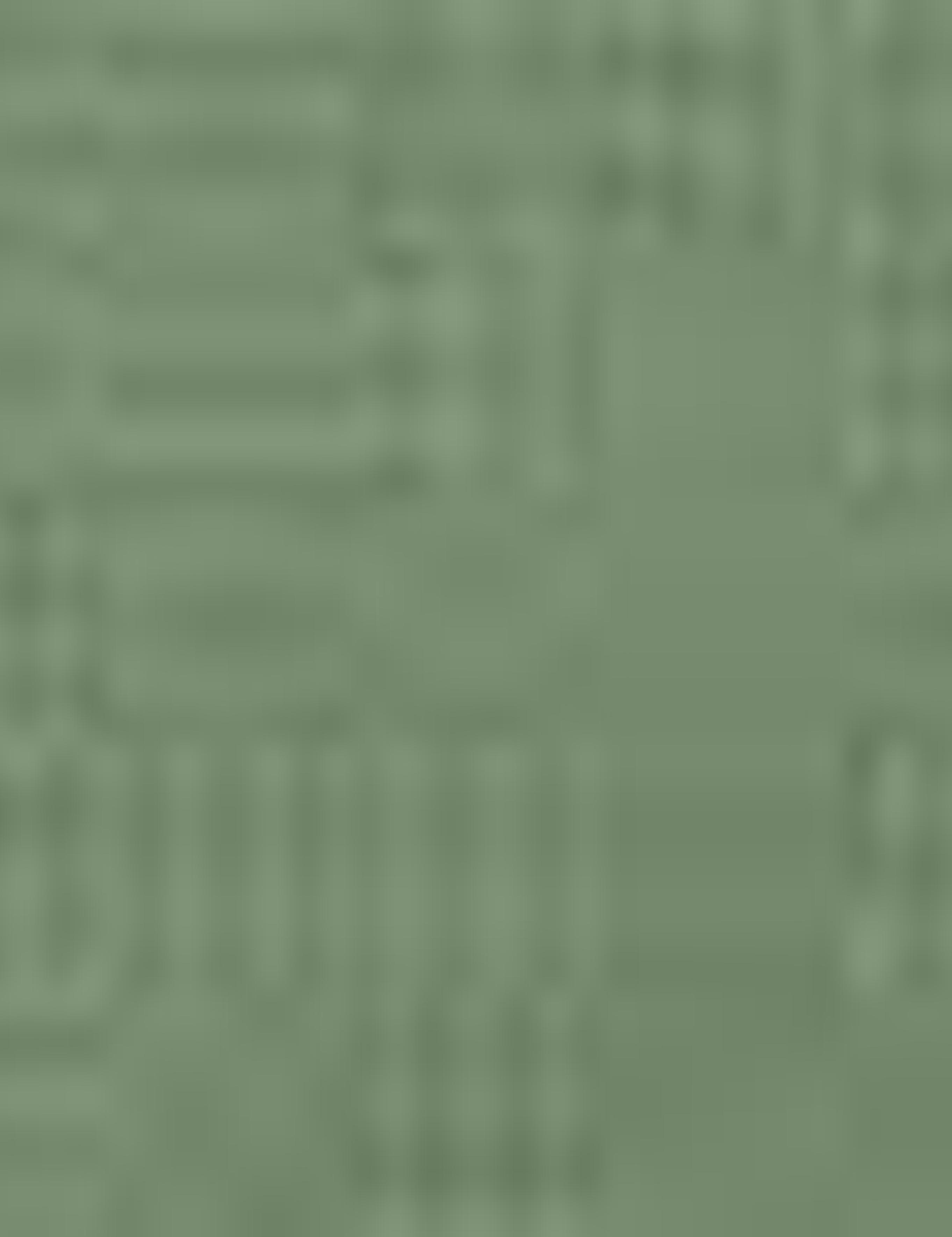 Yeşil Slim Fit Kanvas Pantolon