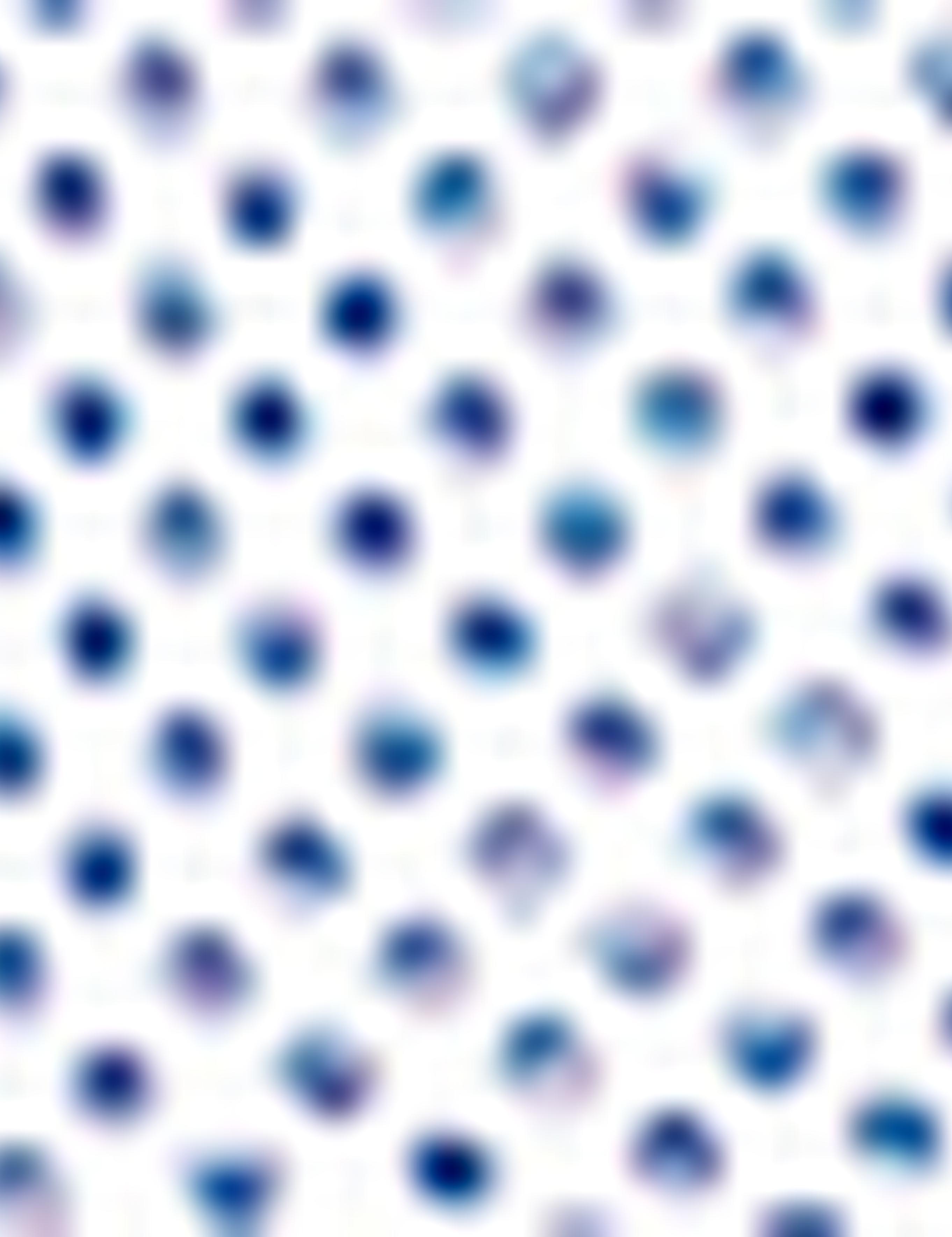 Regular Mavi Gömlek