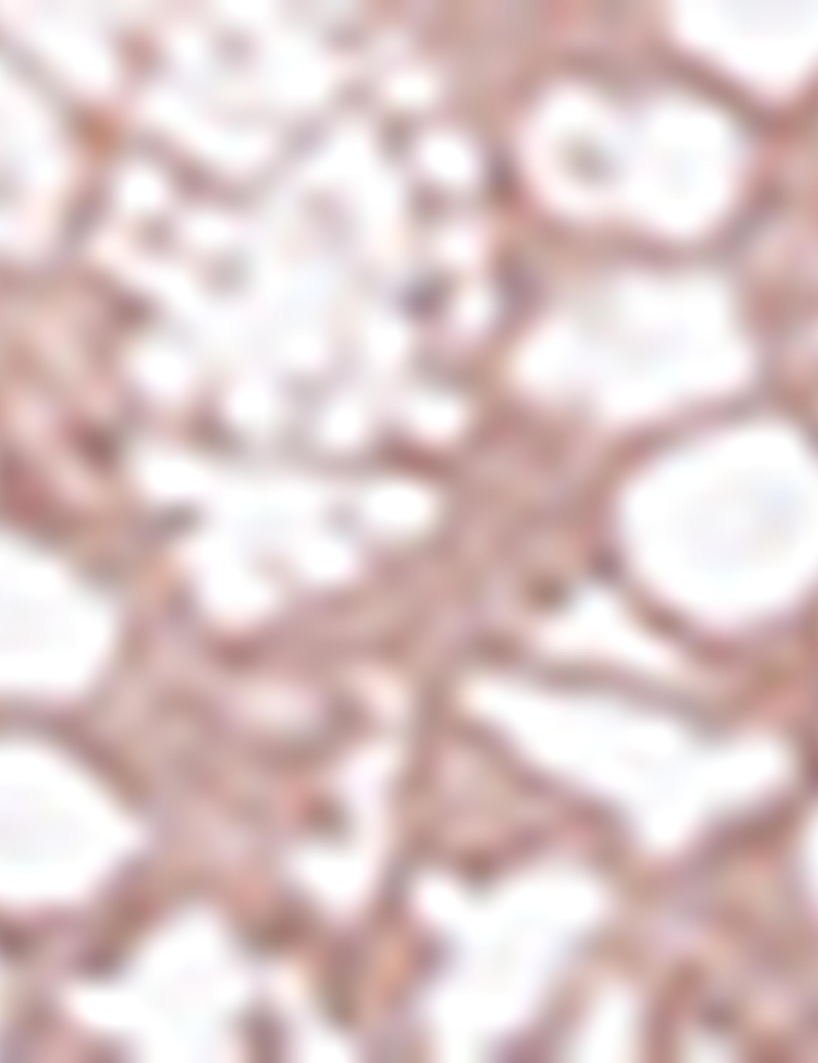 Taş Slim Fit Polo Yaka T-Shirt