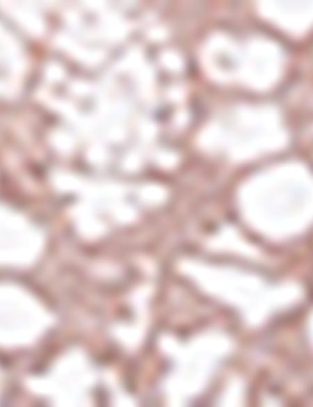 Taş Slim Fit Polo Yaka T-Shirt - 50171658010