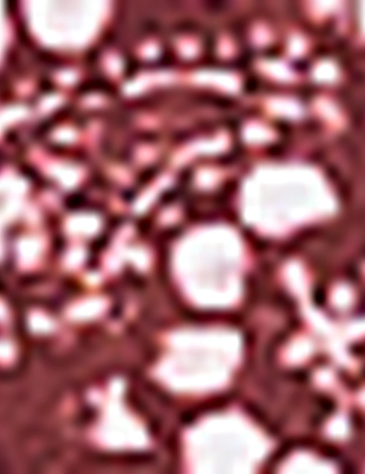 Bordo Tişört - 50171658022