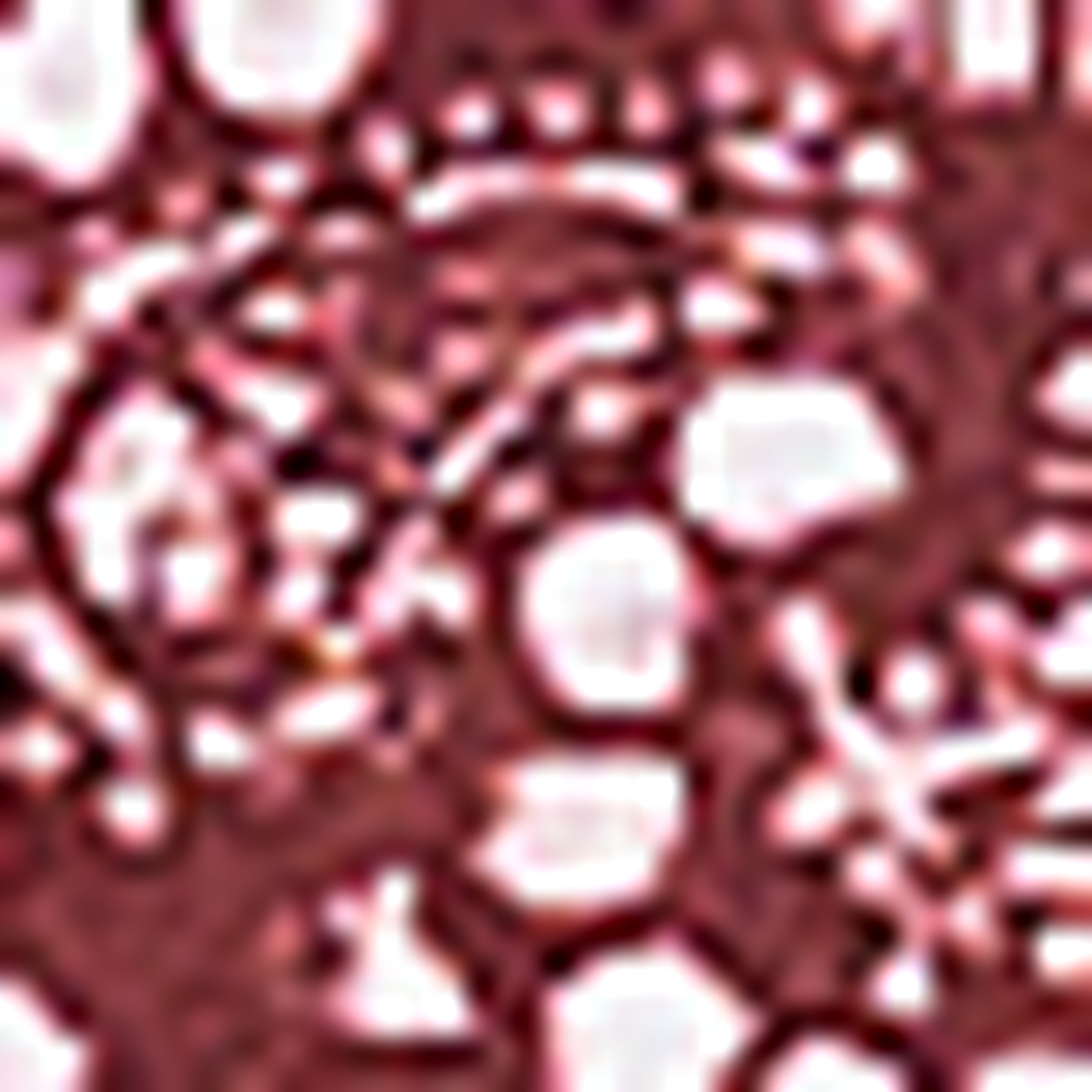 Bordo Tişört - Image 6