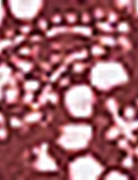 Bordo Tişört - 50171658022