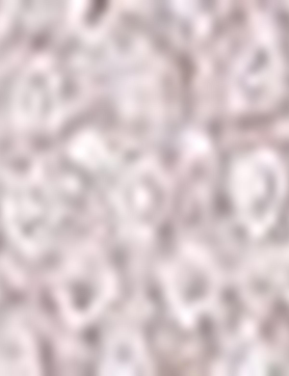 Gri Tişört - 50171675033