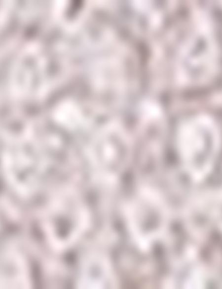 Gri Tişört - 50171675033