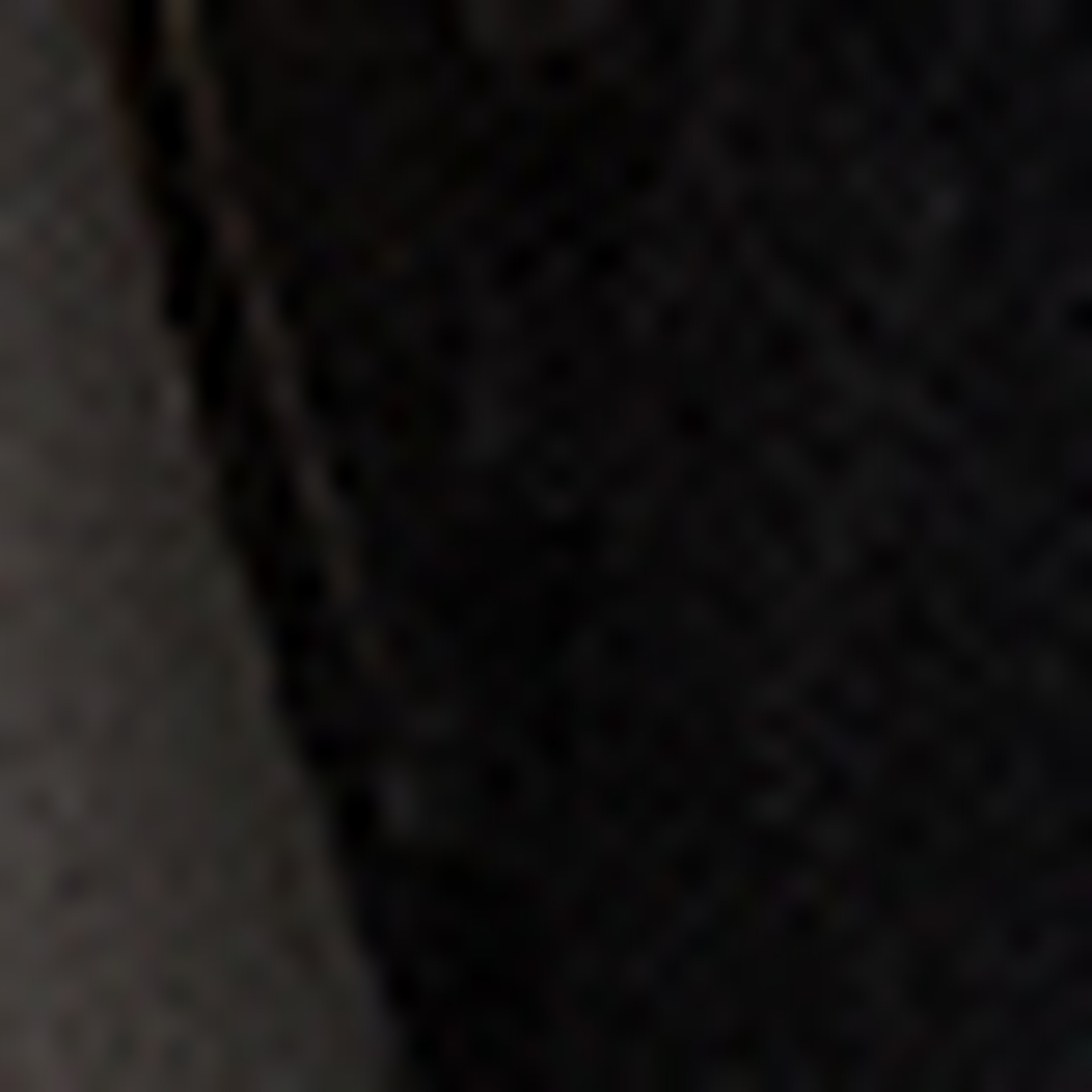 Lacivert Ayakkabı - Image 4