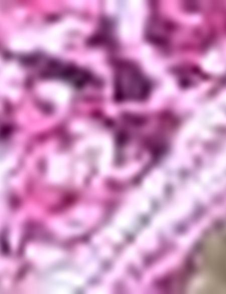 Eşarp Şal - 50173896001