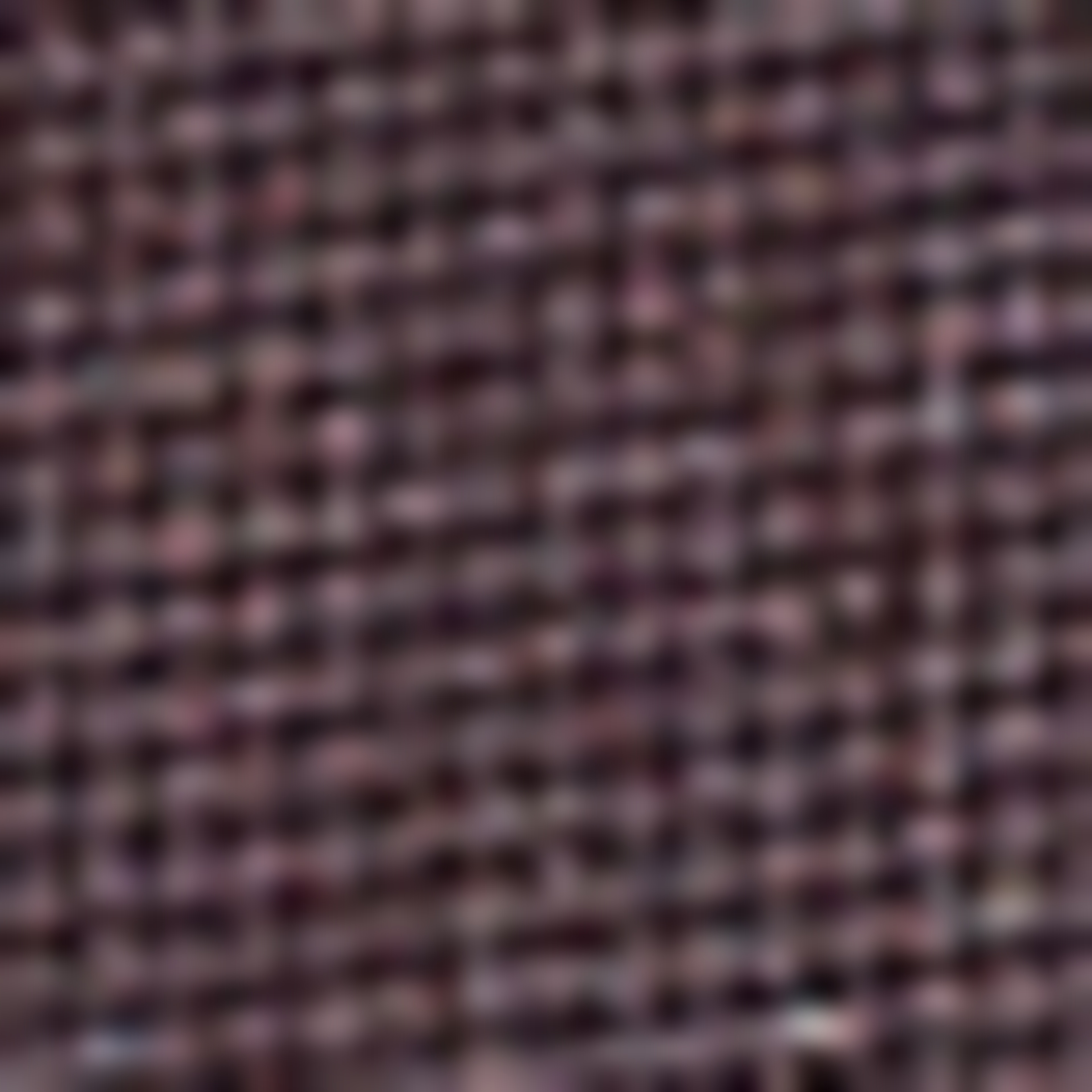 Slim Bordo Gömlek - Image 7