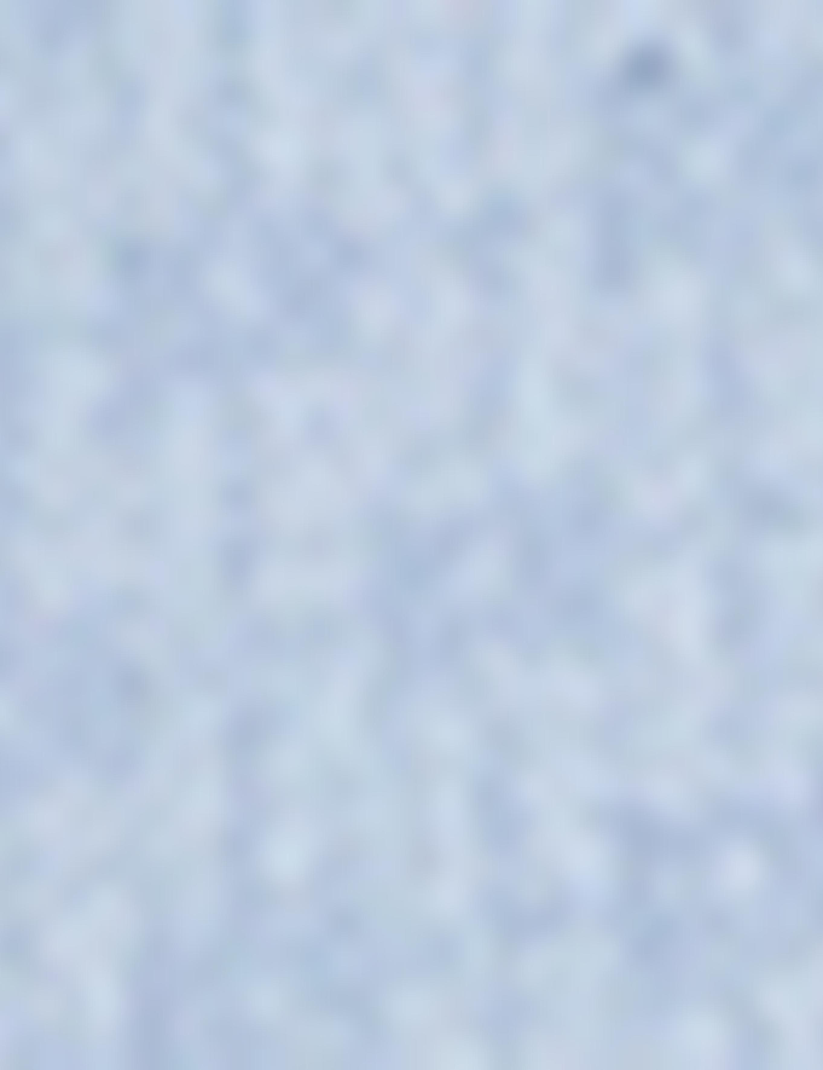 Regular Mavi Gömlek