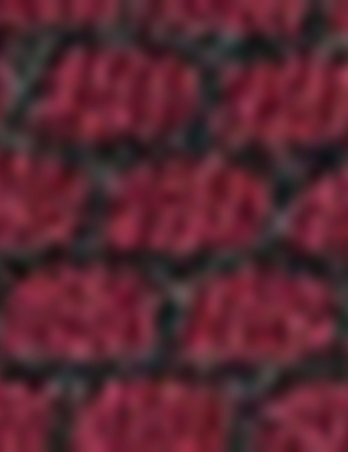 Bordo Slim Fit Triko Kazak - 50174854063