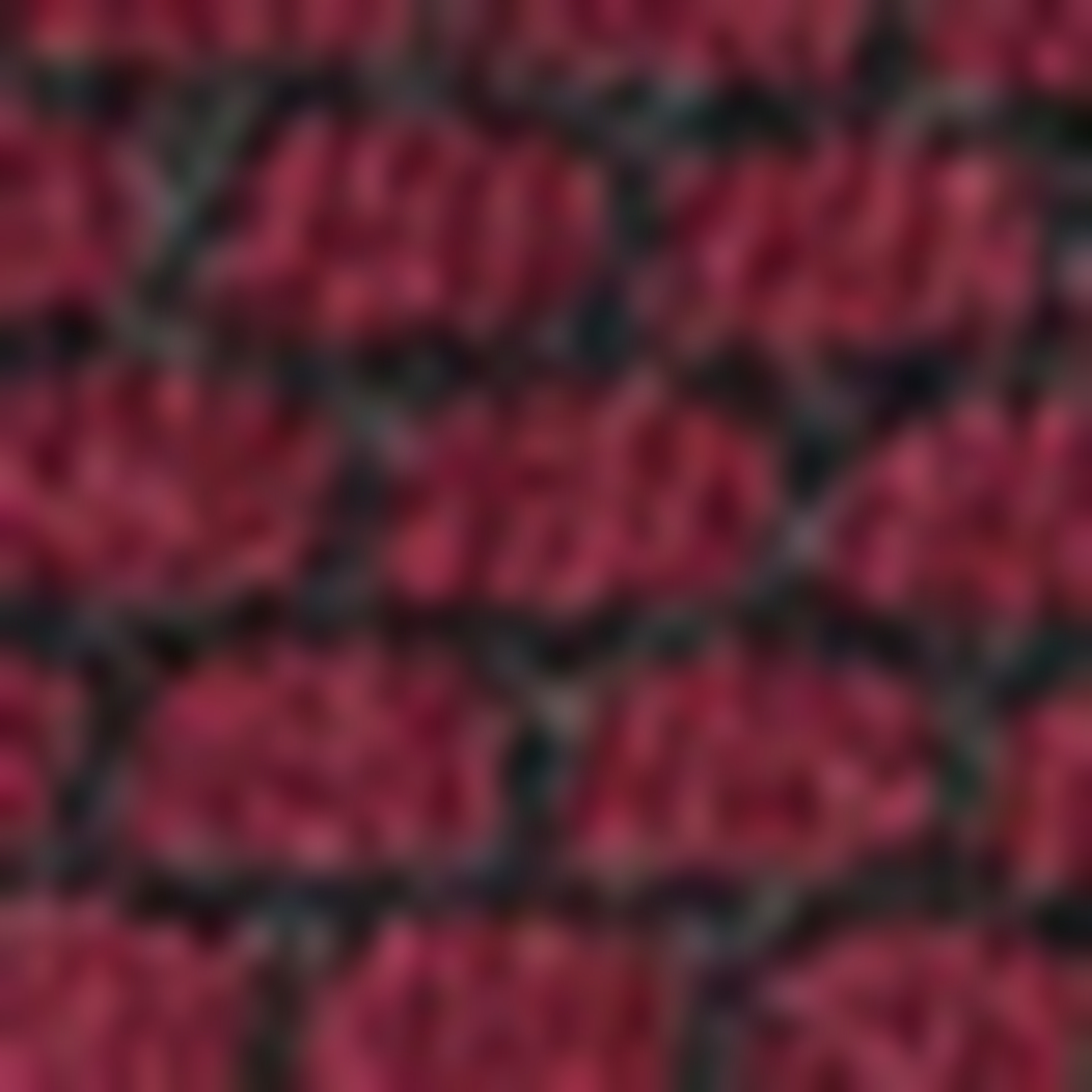 Bordo Slim Fit Triko Kazak - Image 5