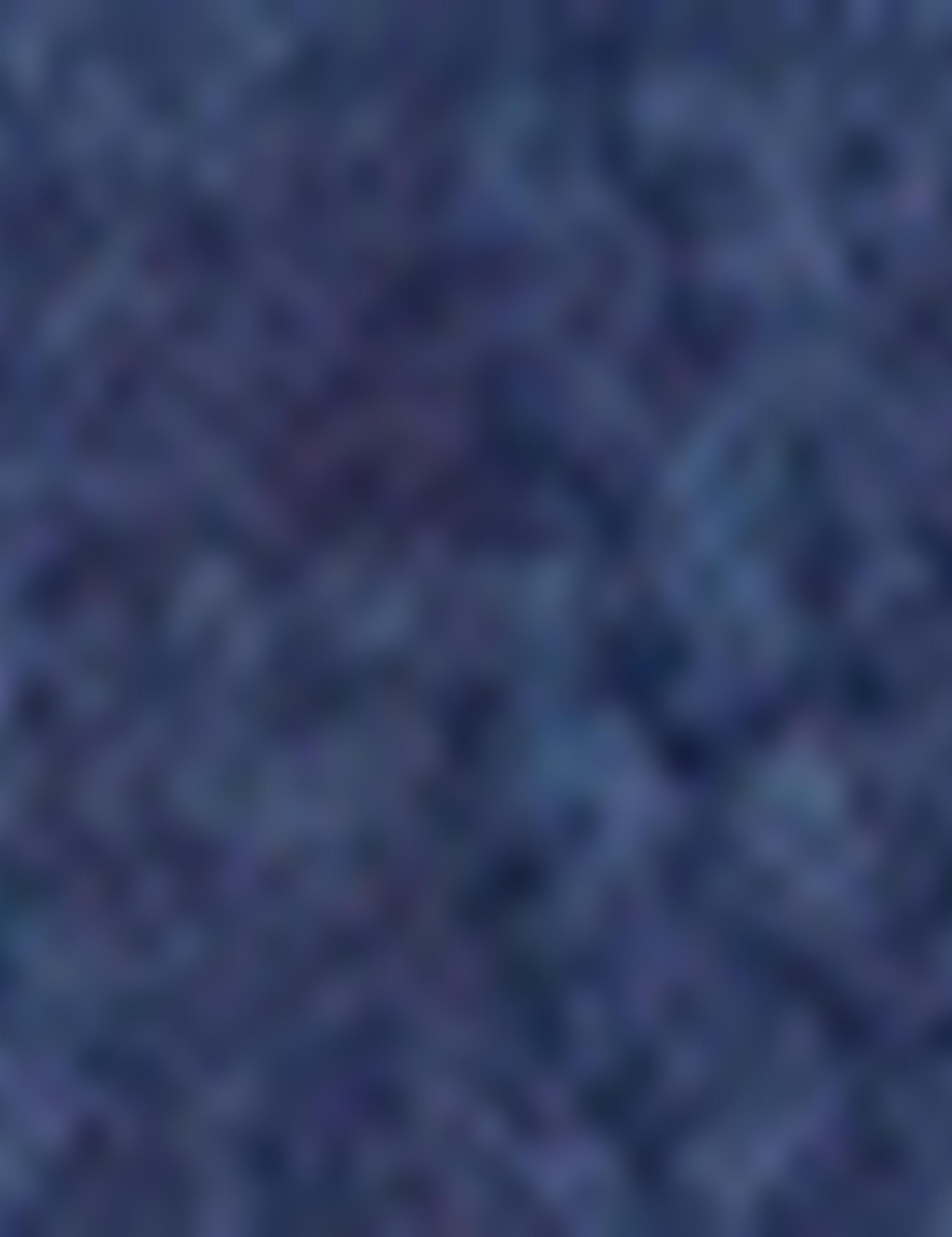 Lacivert Triko Kazak