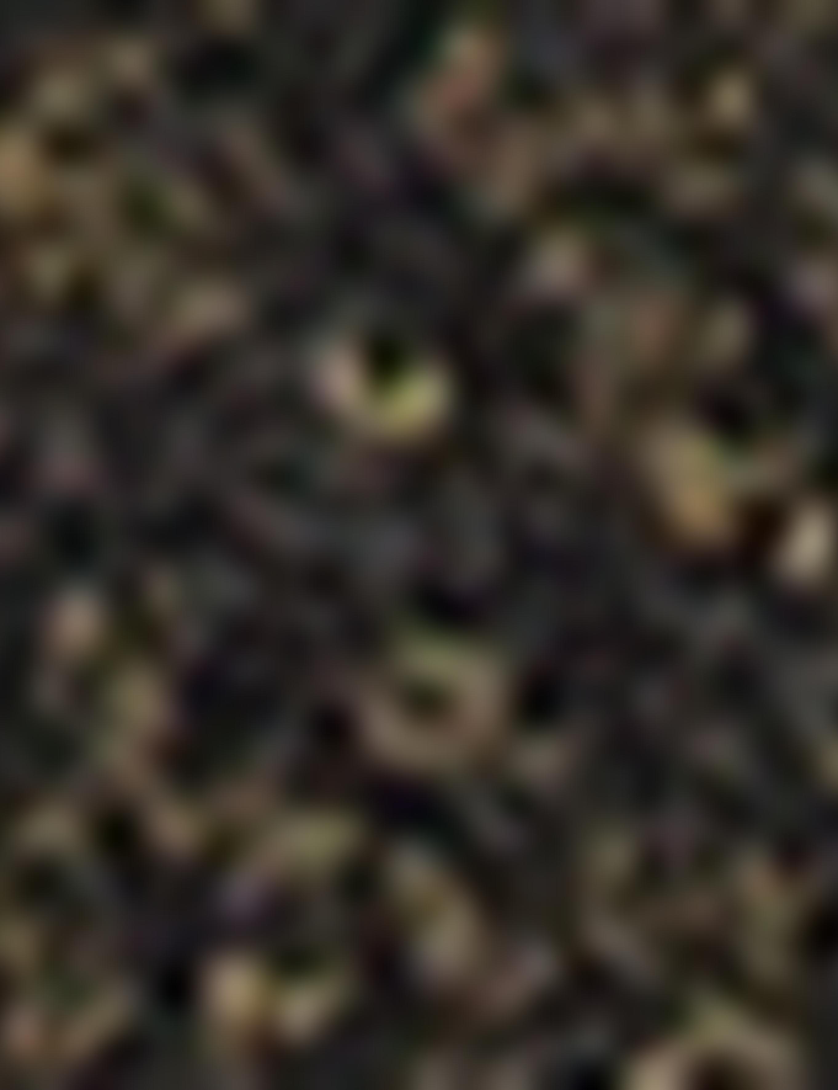 Yeşil Slim Fit Triko Hırka