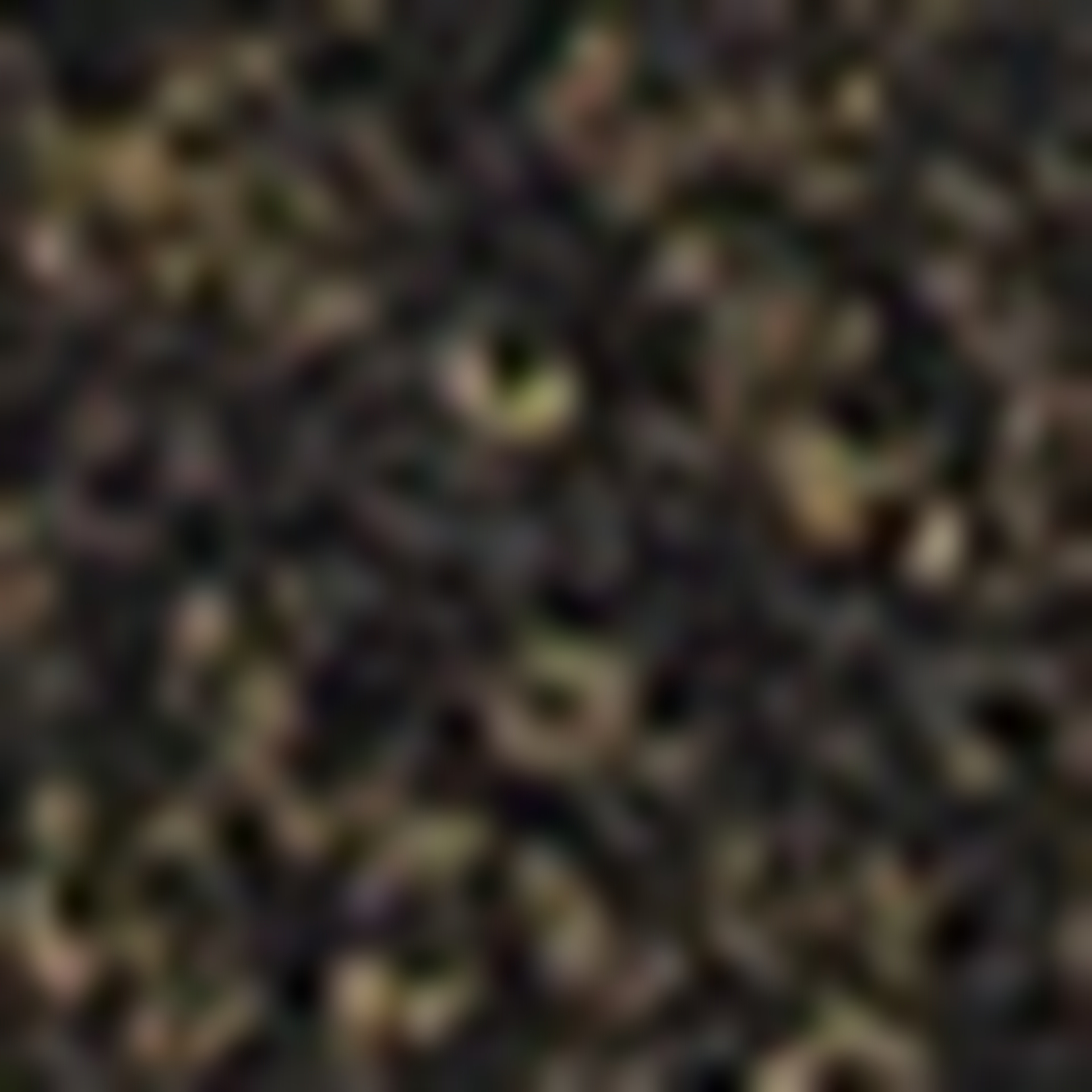 Yeşil Slim Fit Triko Hırka - Image 5