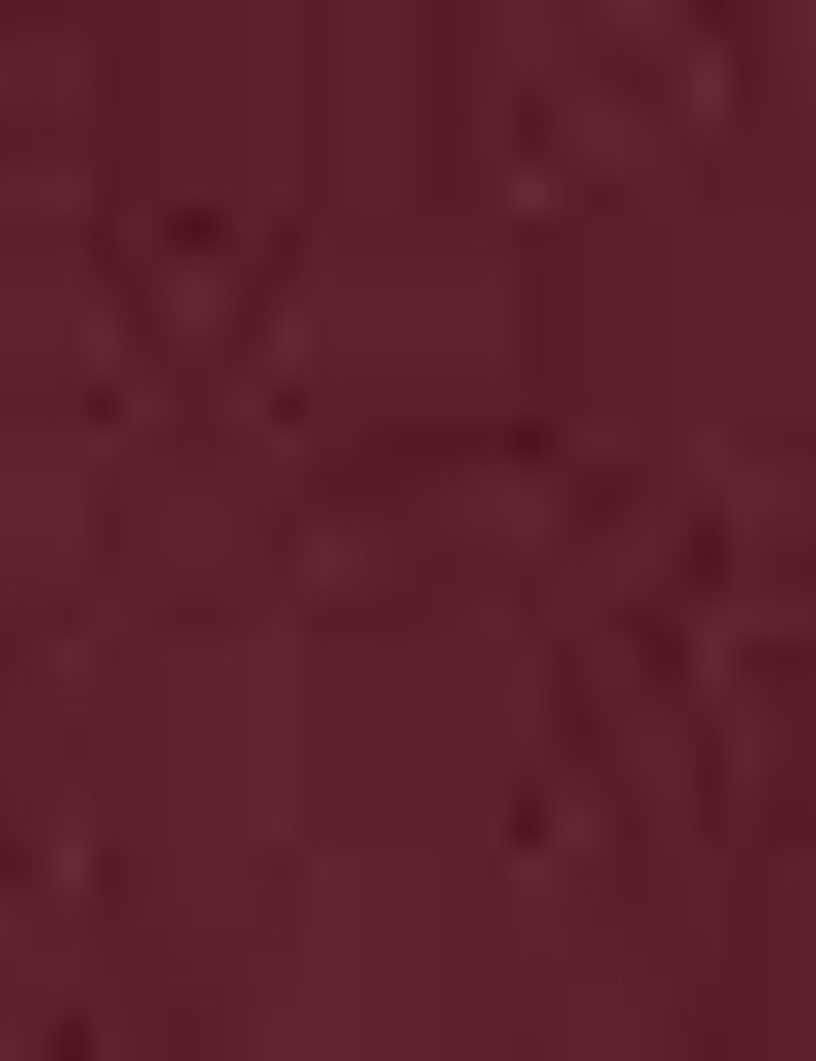 Bordo Slim Fit Chino Pantolon