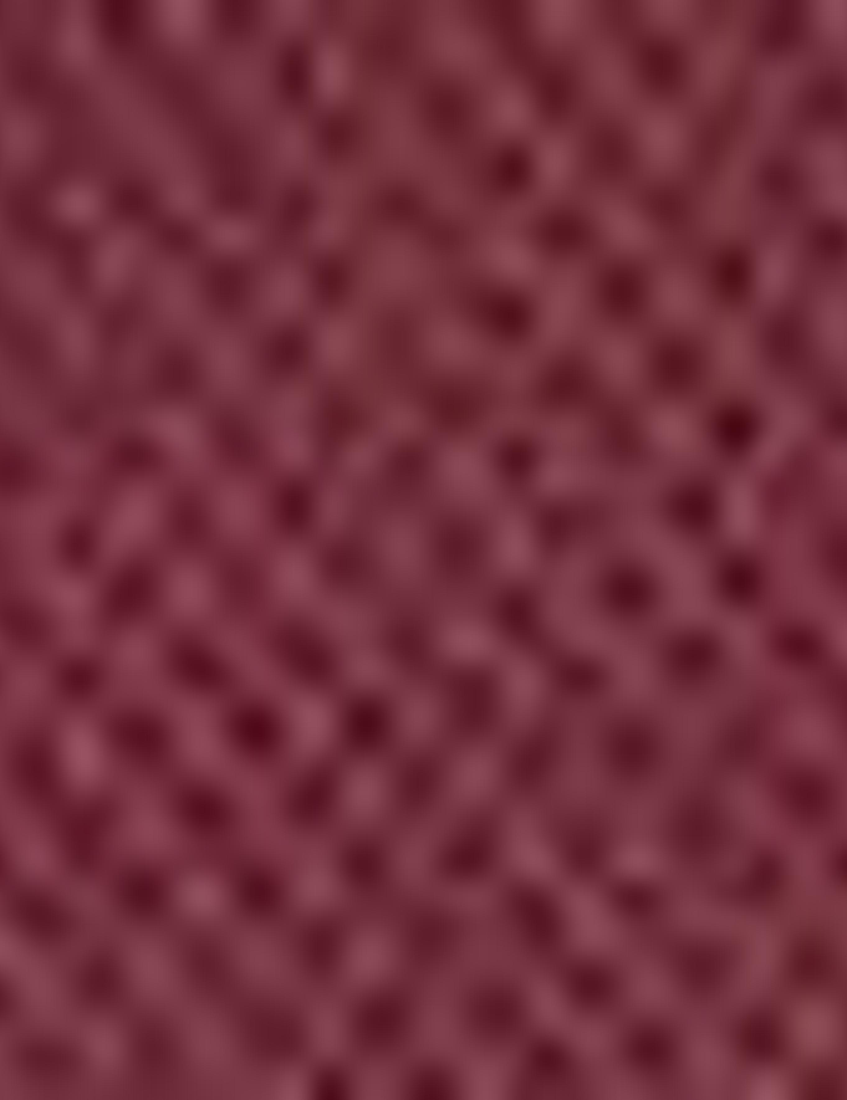 Bordo Slim Fit Chino Pantolon