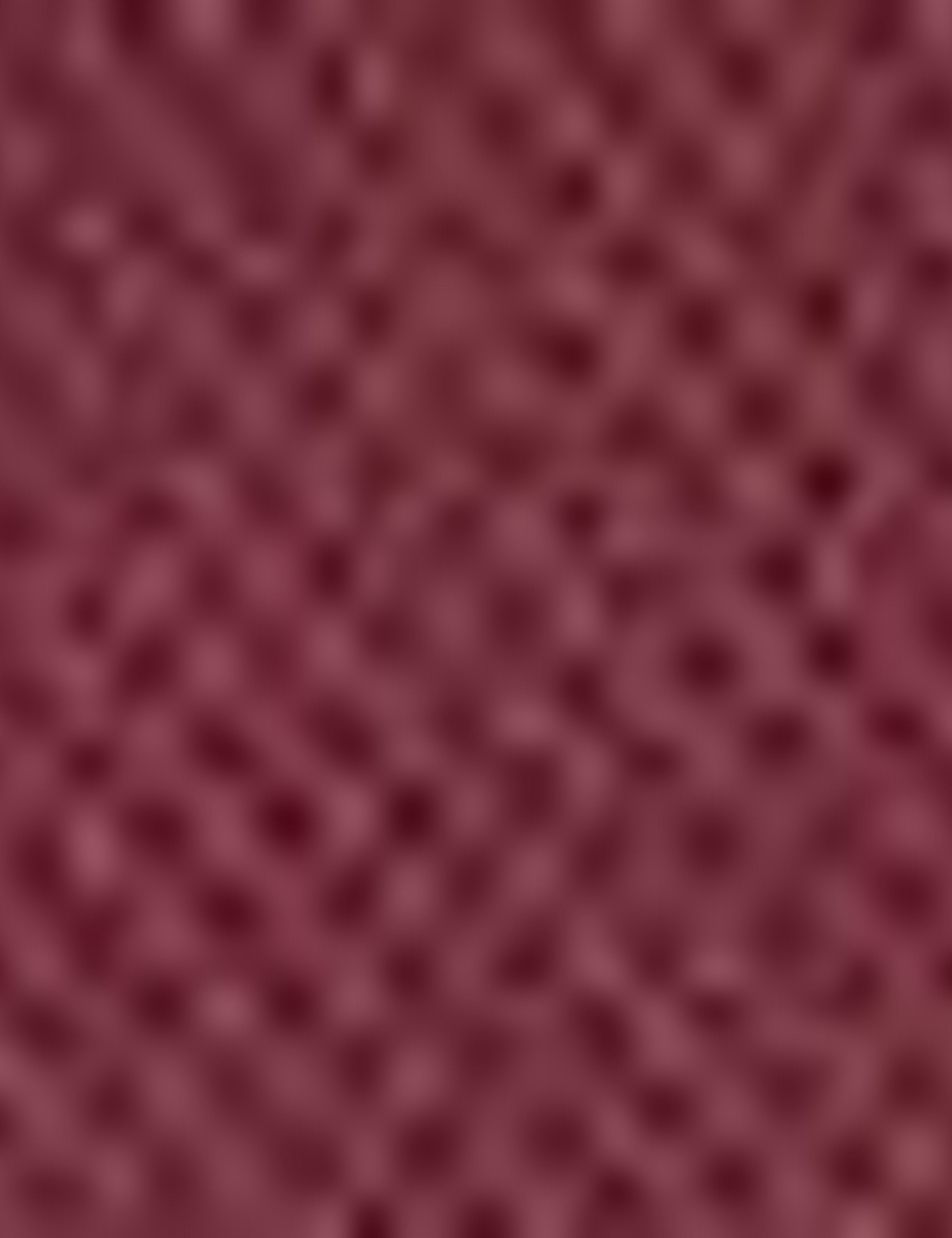 Bordo Slim Fit Chino Pantolon