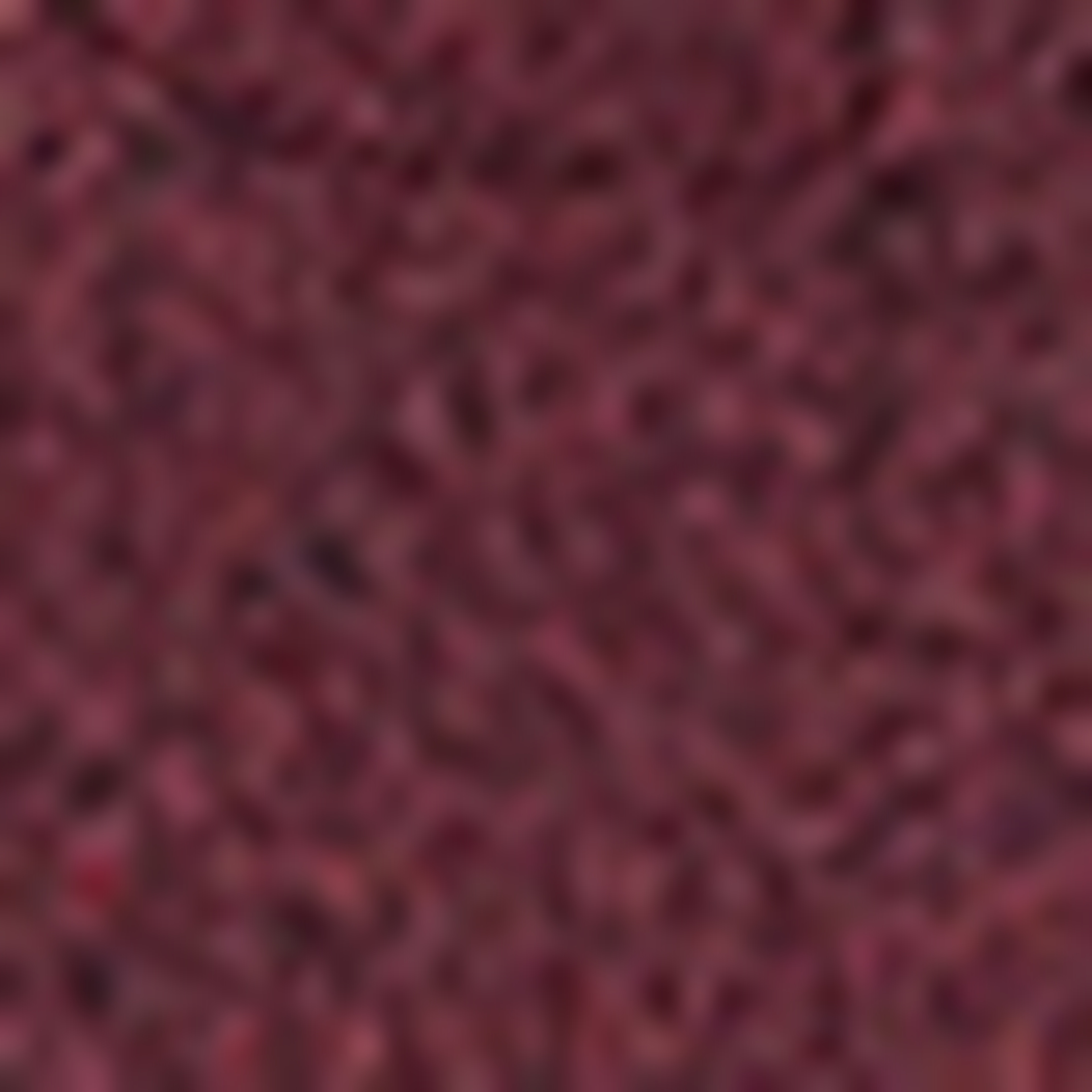 Bordo Triko Kazak - Image 5