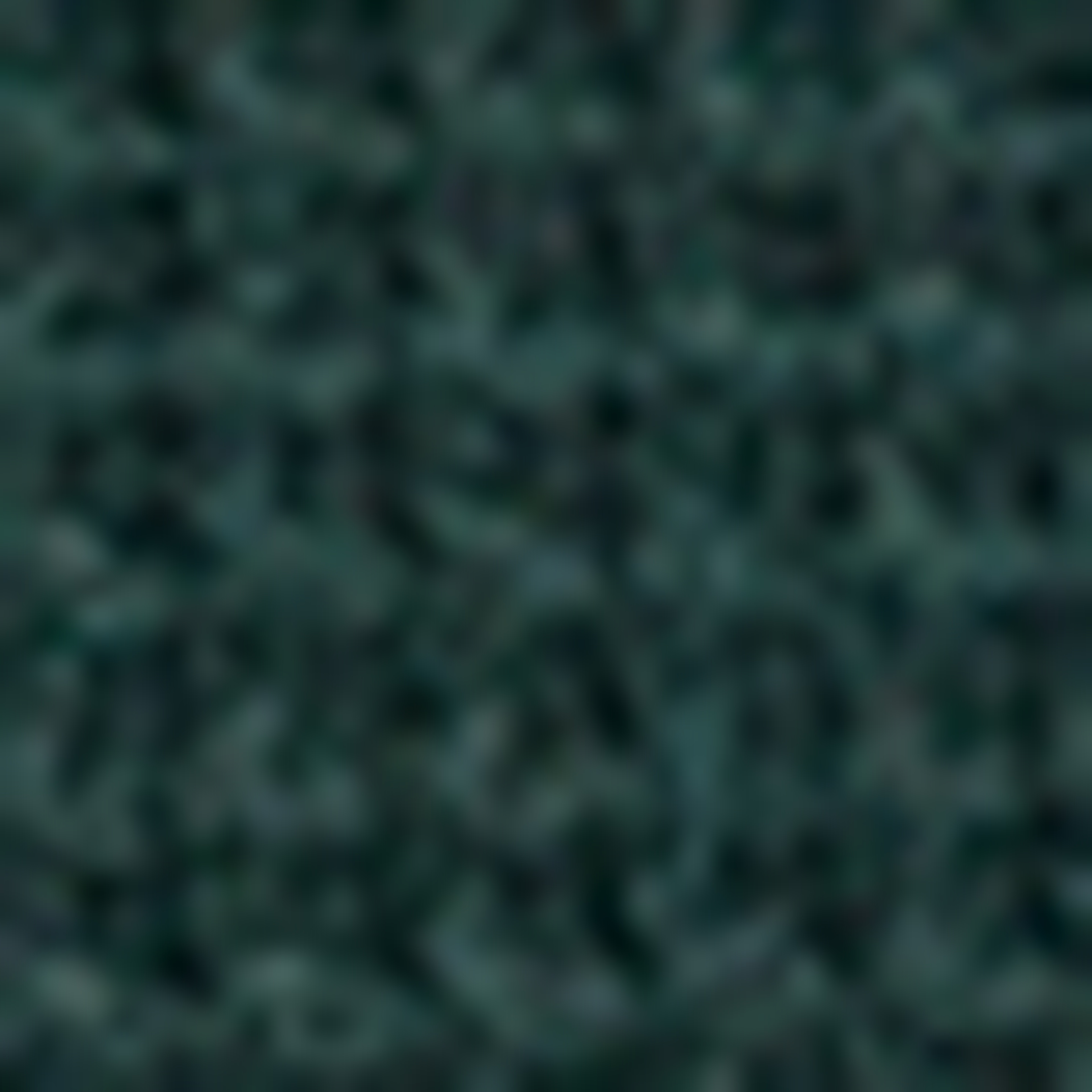 Koyu Yeşil Slim Fit Triko Kazak - Image 4