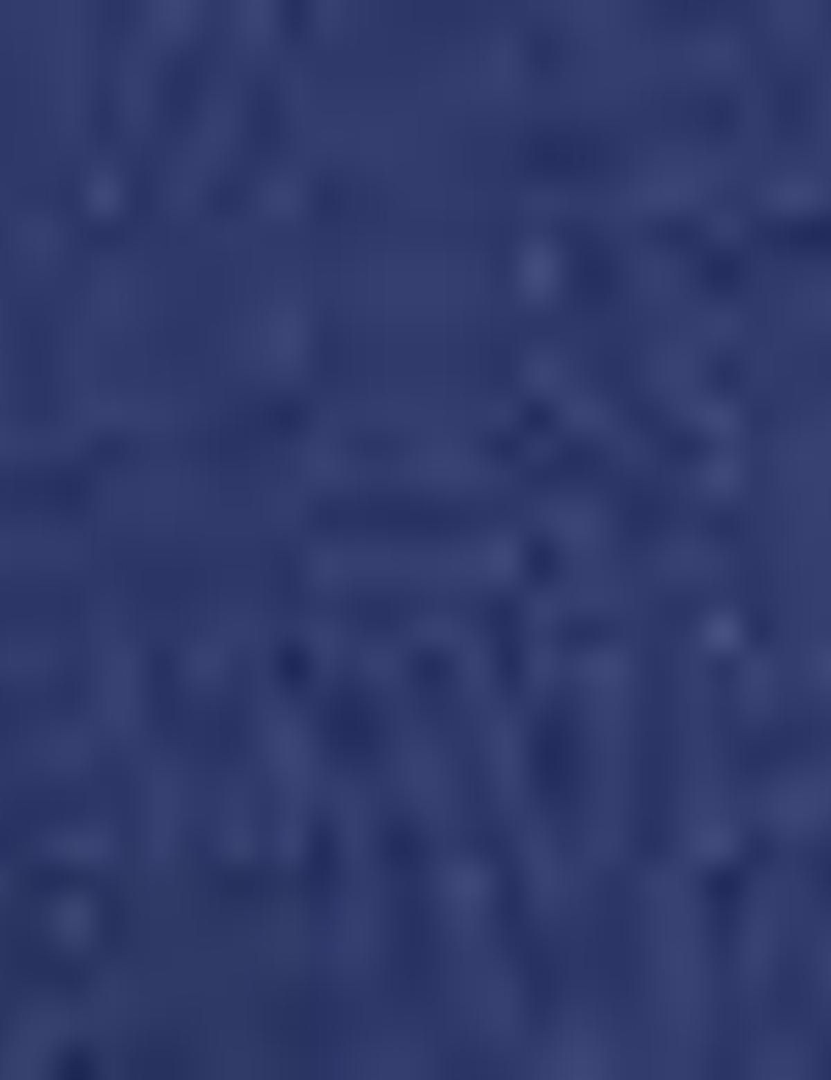 Lacivert Pantolon - 50175642027