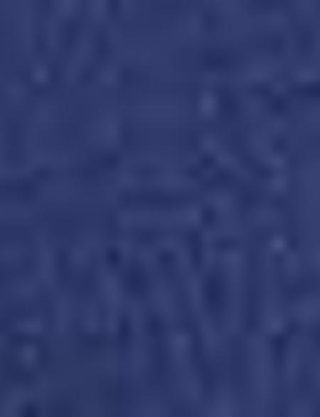 Lacivert Pantolon - 50175642027