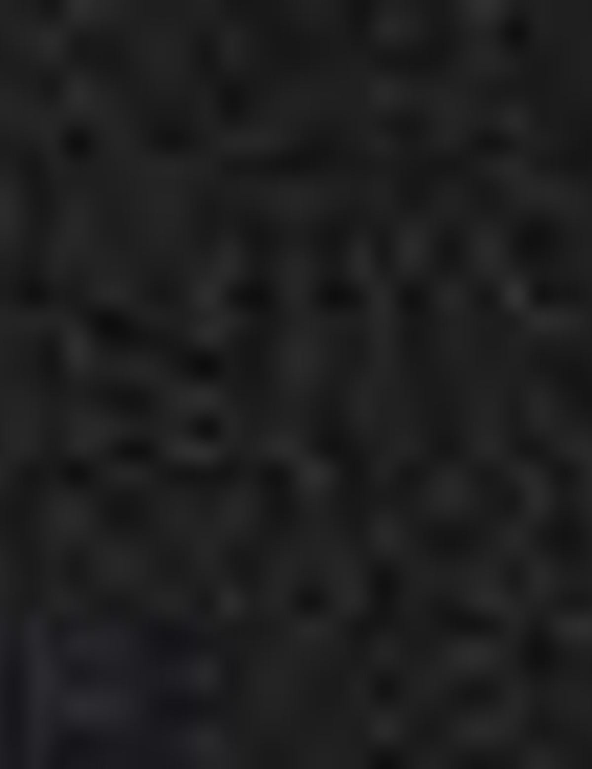 Siyah Slim Fit Palto - 50175685028