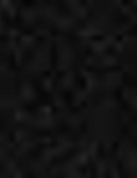 Gri Kaban - 50175890042