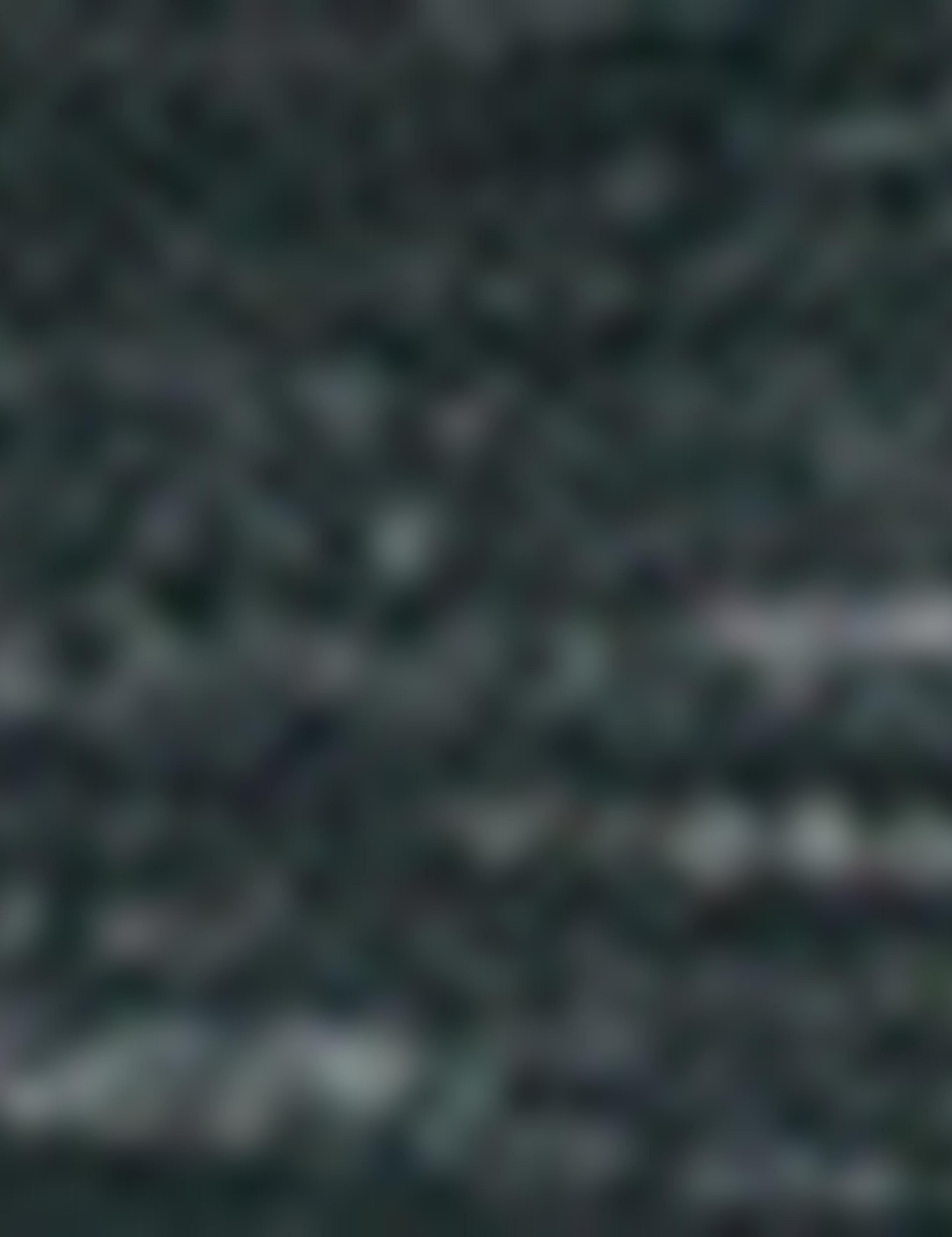 Yeşil Slim Fit Sweatshirt