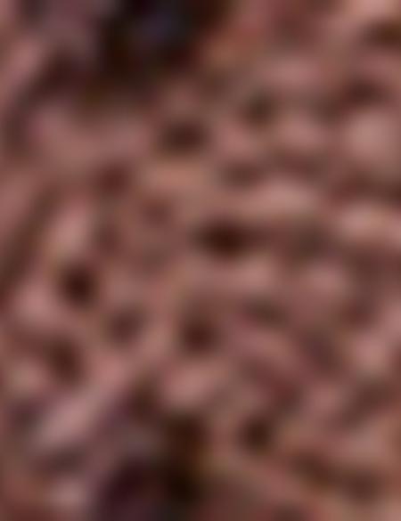 Kahverengi Ayakkabı - 50177808010