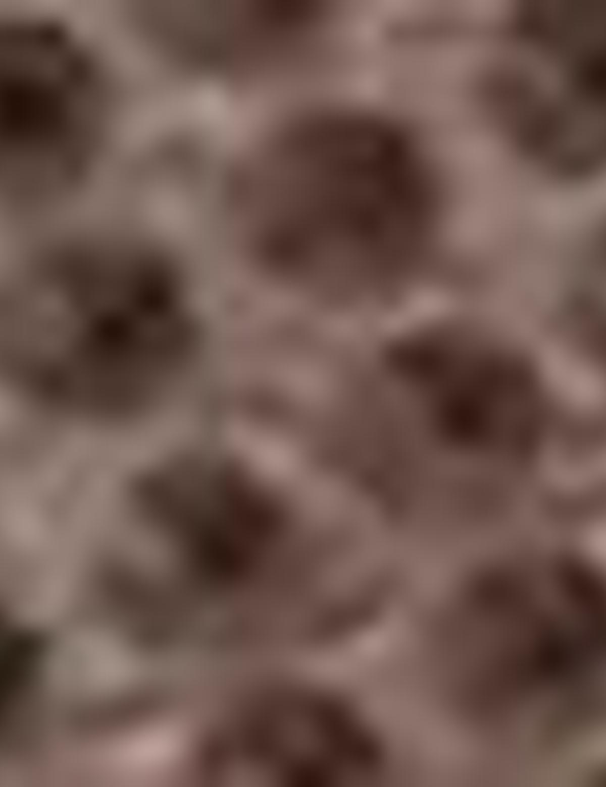 Kahverengi Ayakkabı - 50177851006