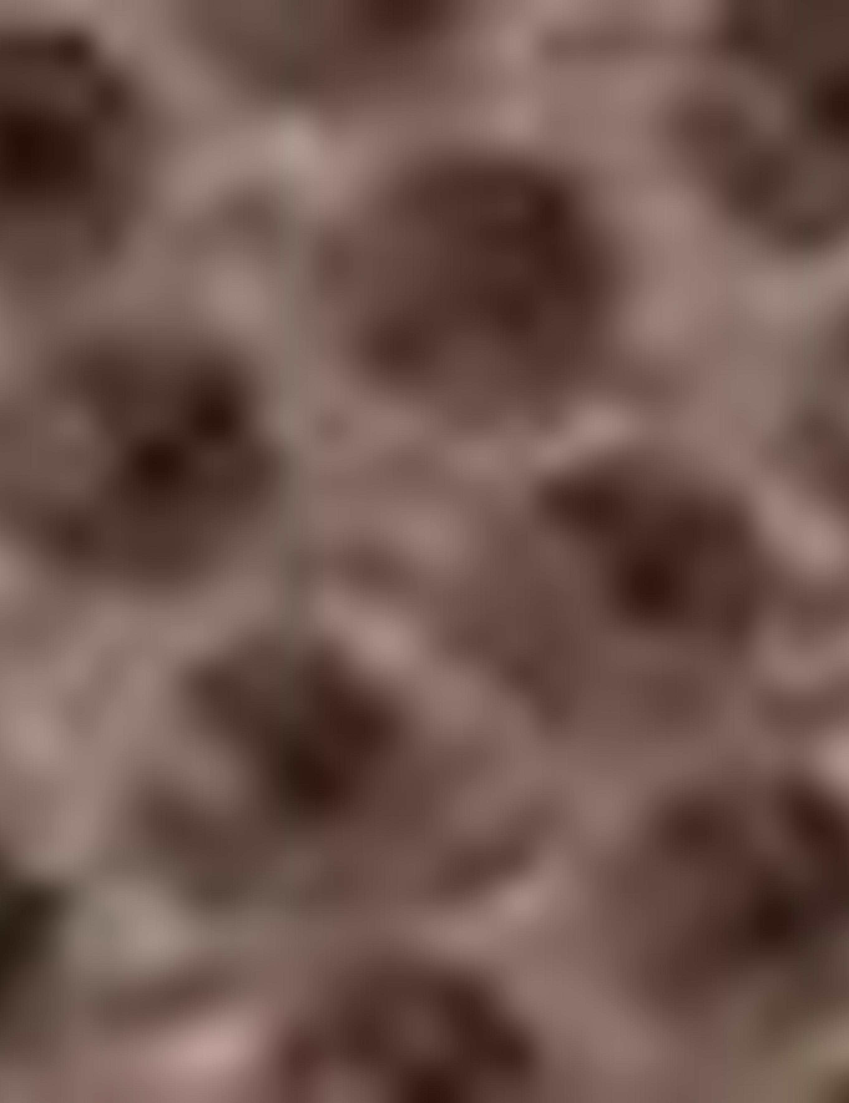 Kahverengi Ayakkabı