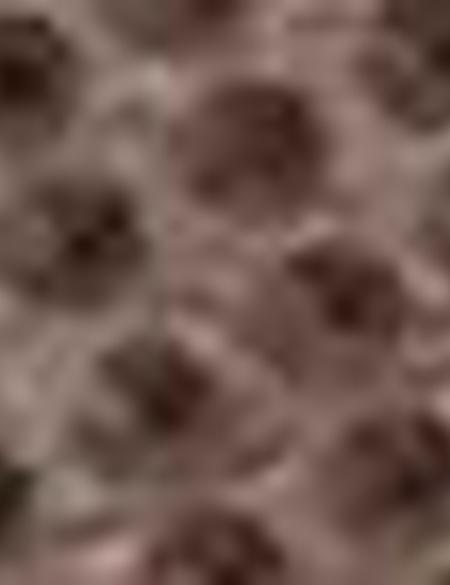 Kahverengi Ayakkabı - 50177851006