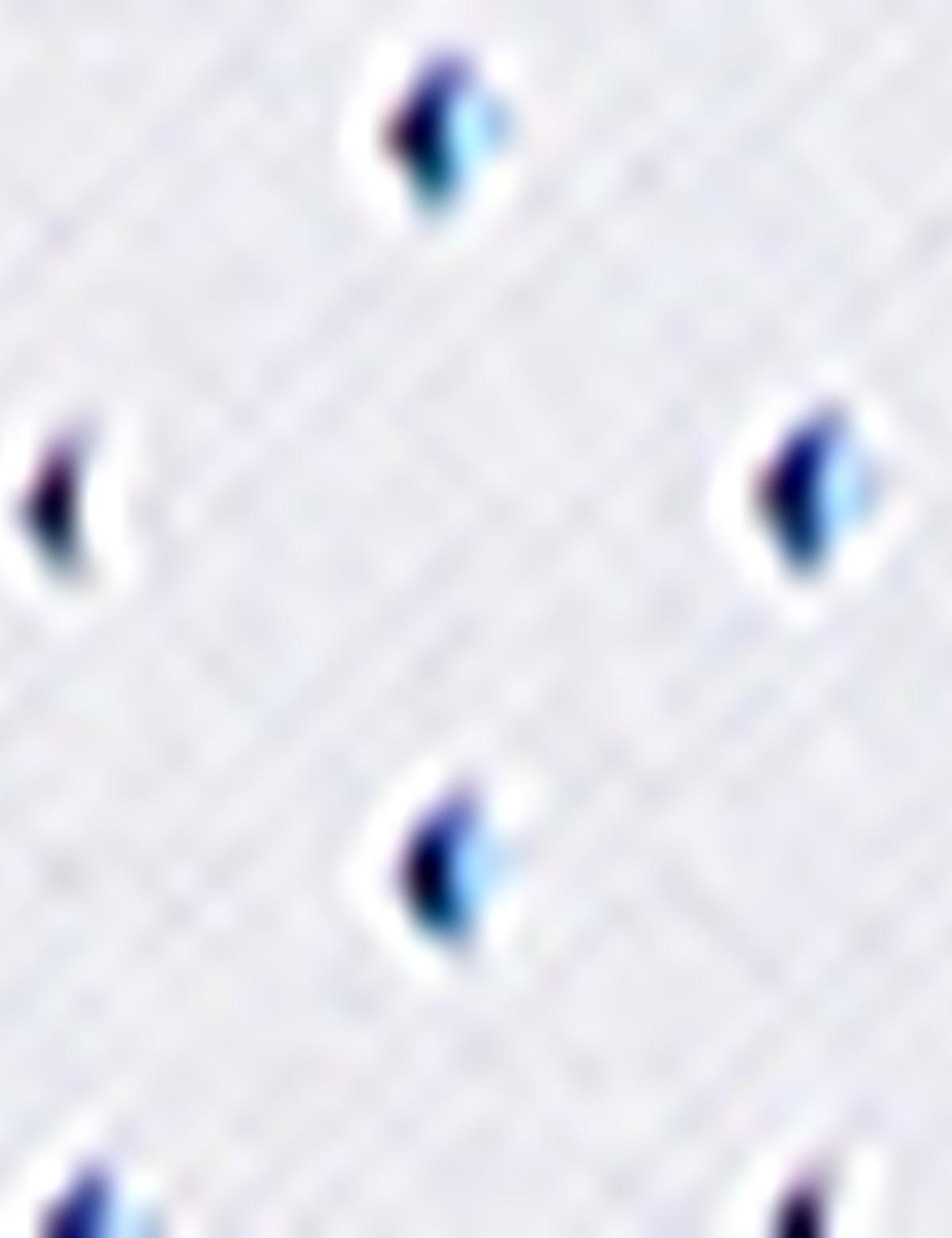 Slim Mavi Gömlek - 50178677017