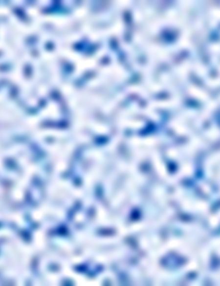 Slim Mavi Gömlek - 50178690001