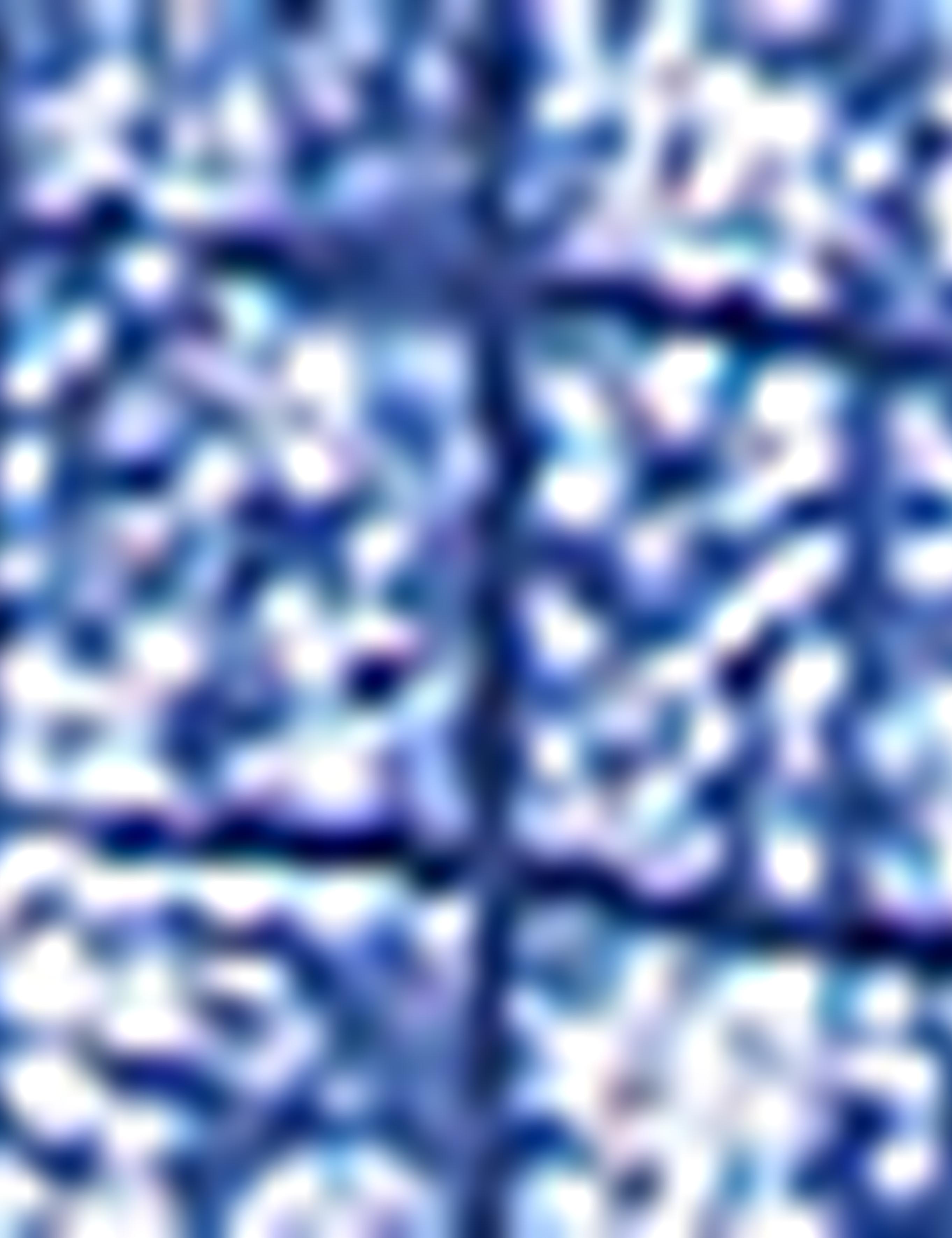 Slim Lacivert Gömlek