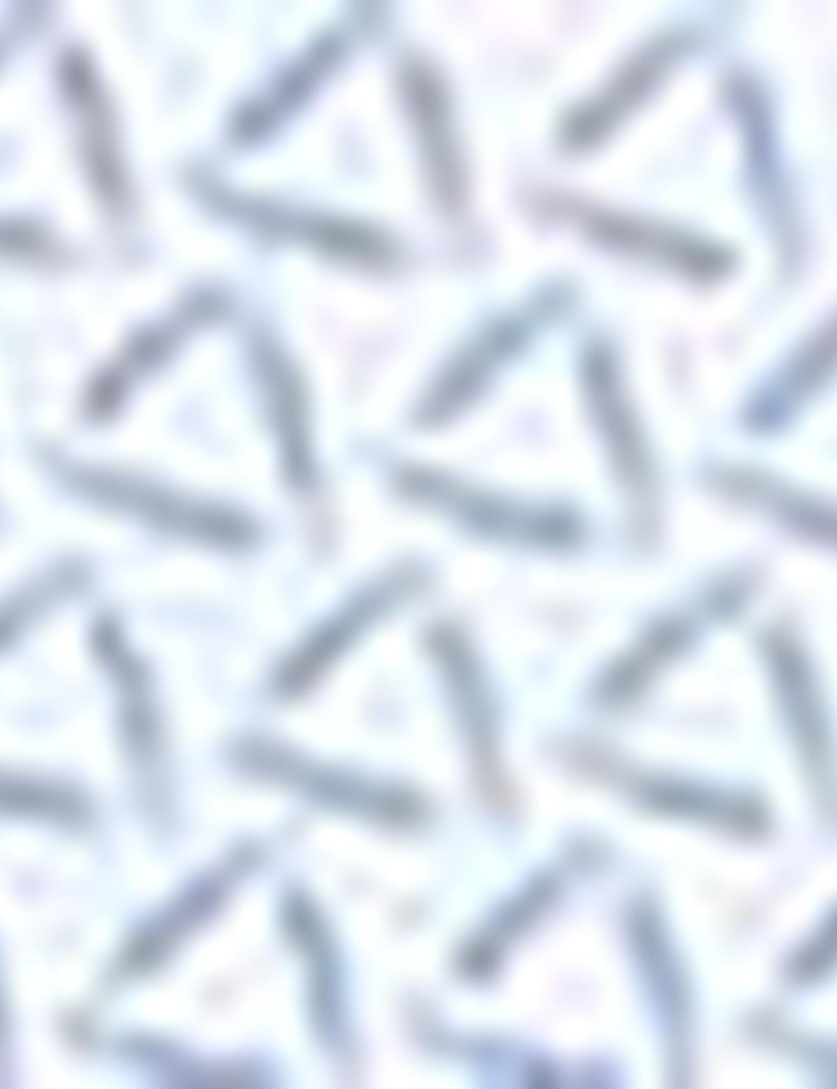 Açık Mavi Regular Fit Gömlek - 50178983010