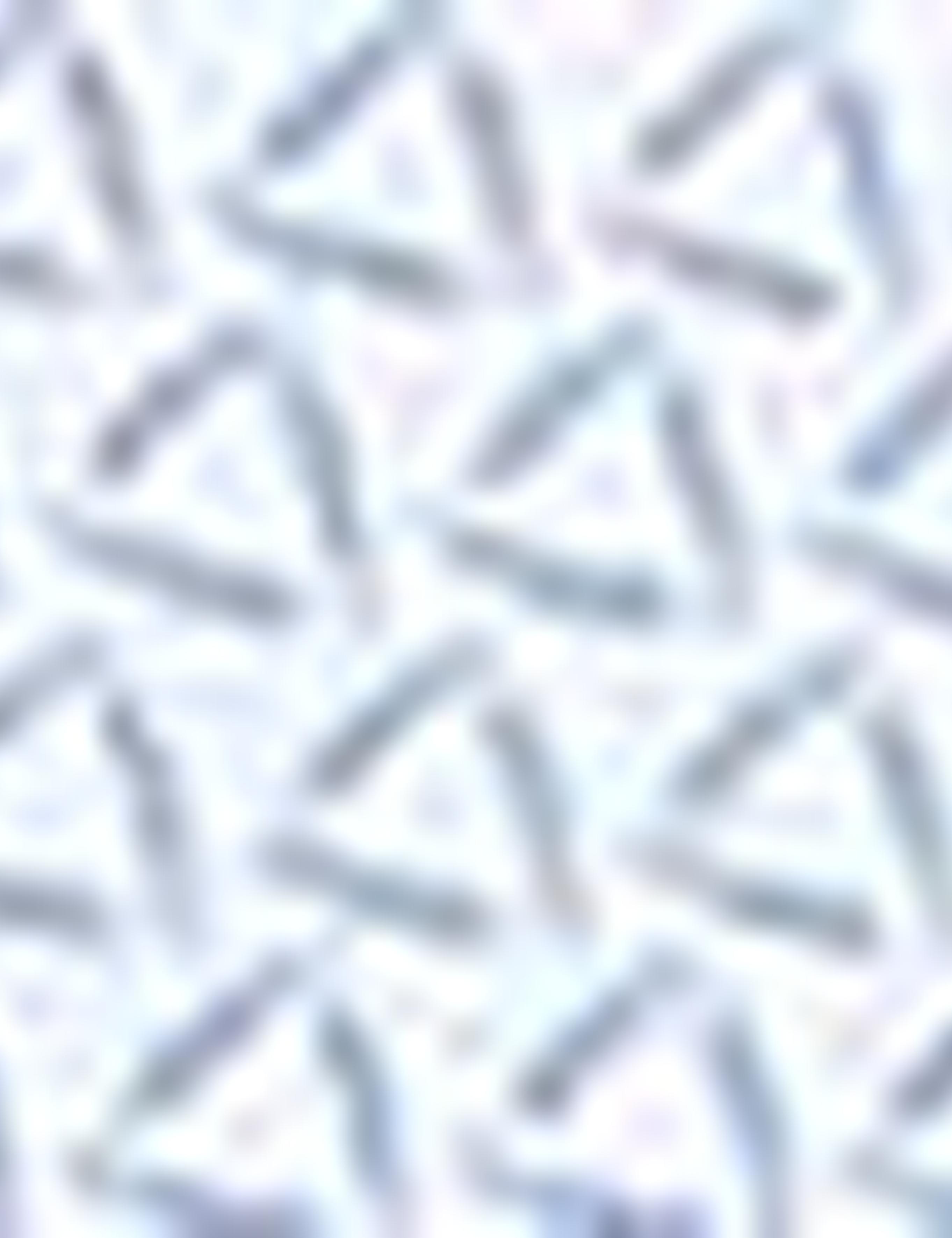 Açık Mavi Regular Fit Gömlek