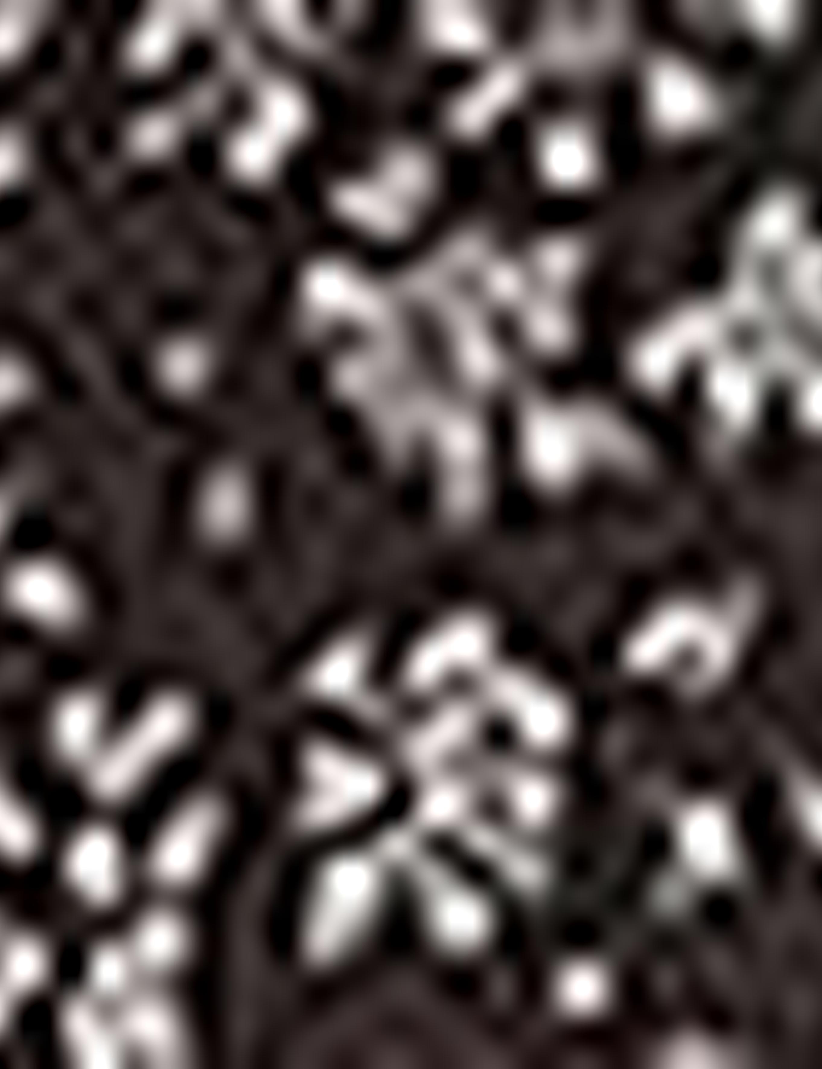 Slim Kahverengi Gömlek