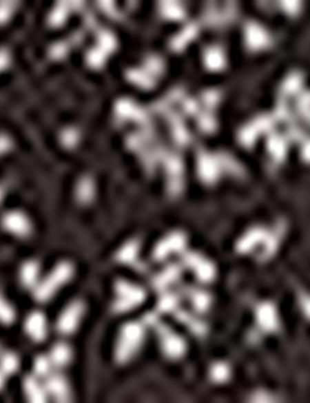 Slim Kahverengi Gömlek - 50179006035